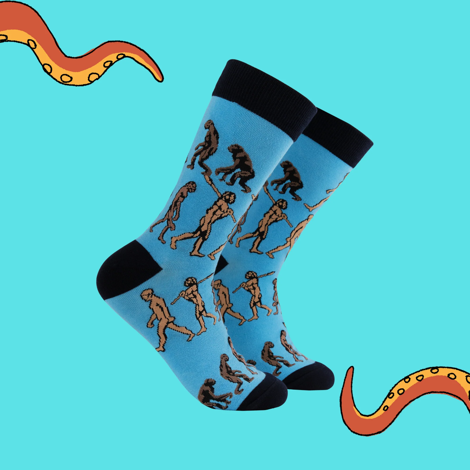 Science Socks - Theory of Evolution - Image 2