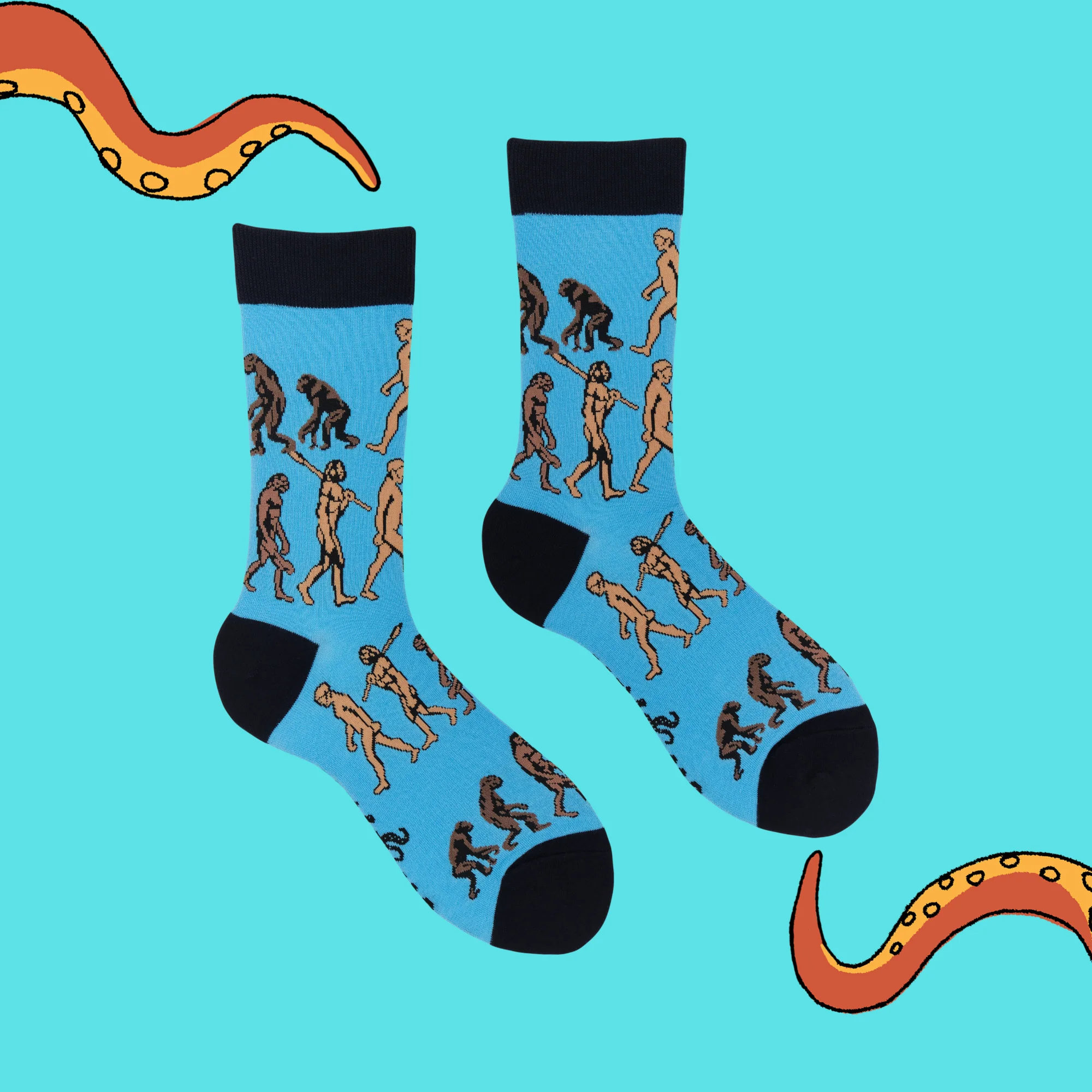 Science Socks - Theory of Evolution - Image 3