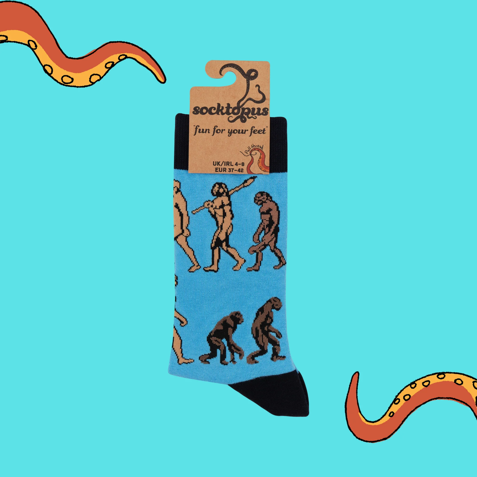 Science Socks - Theory of Evolution - Image 4