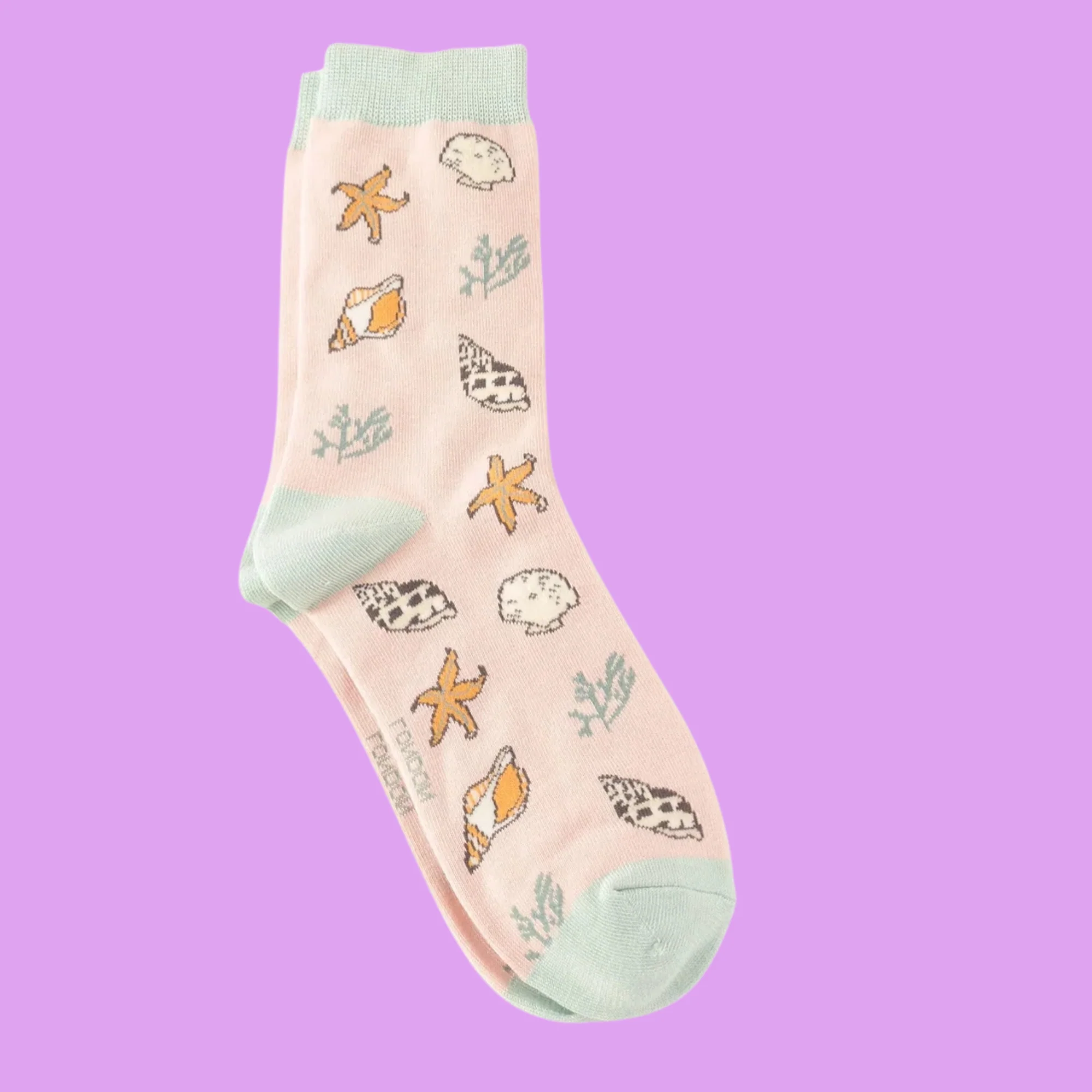 Bamboo Socks - Seashells - Miss Sparrow - Image 2