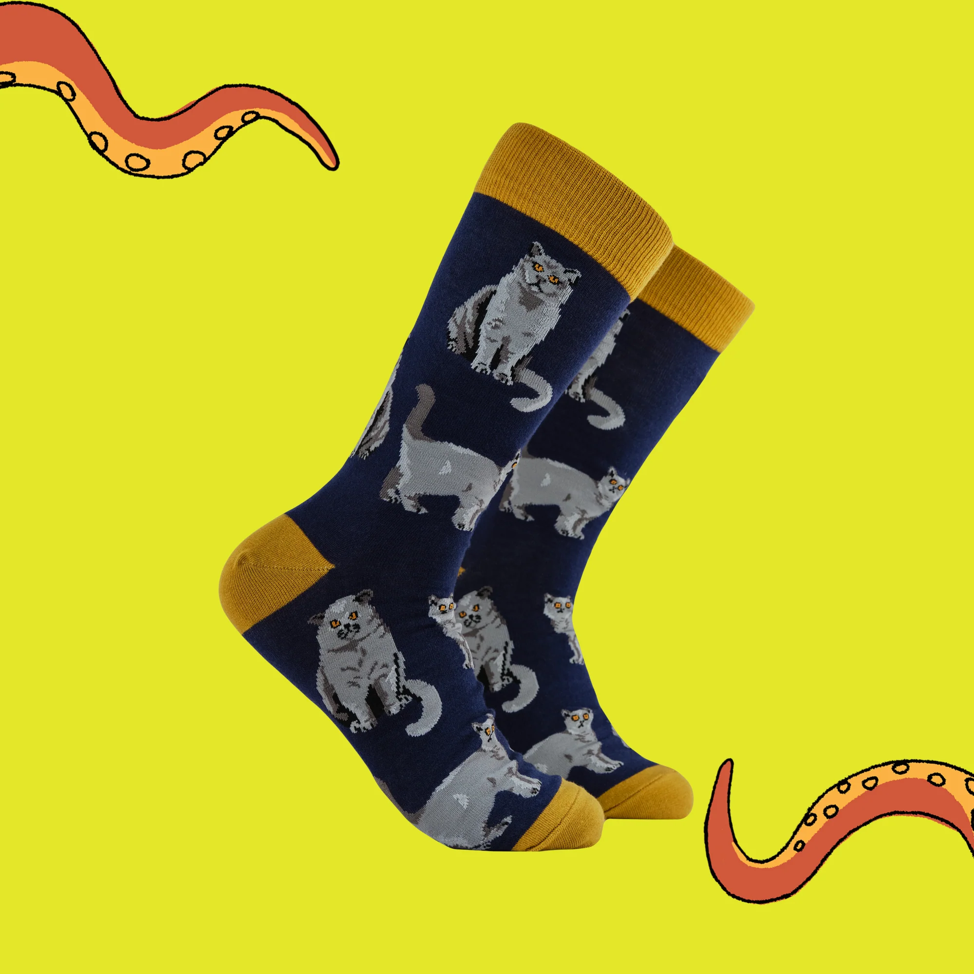 British Shorthair Cat Socks - Short Hair Don't Care - Image 2