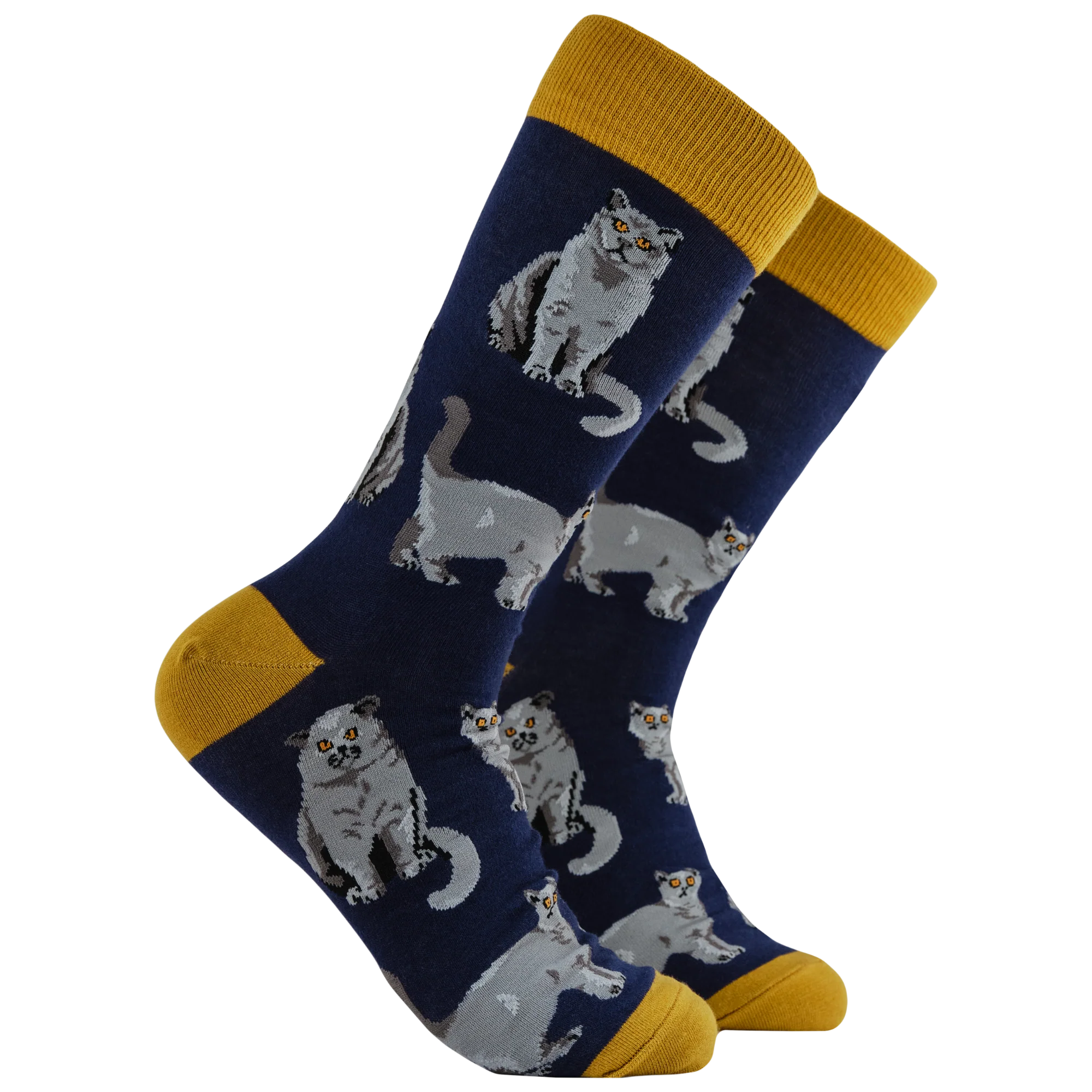 British Shorthair Cat Socks - Short Hair Don't Care - Image 3