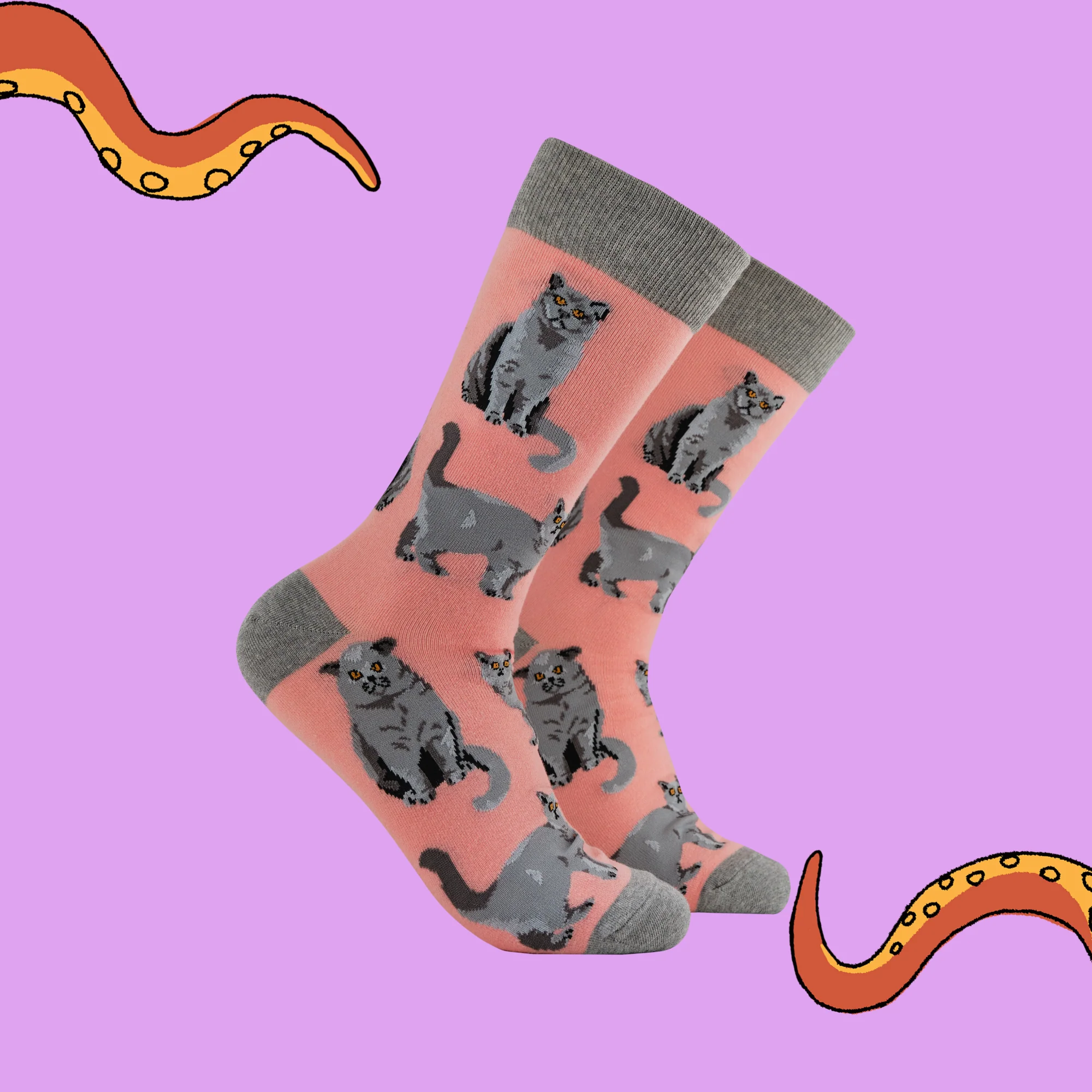 British Shorthair Cat Socks - Short Hair Don't Care - Image 4