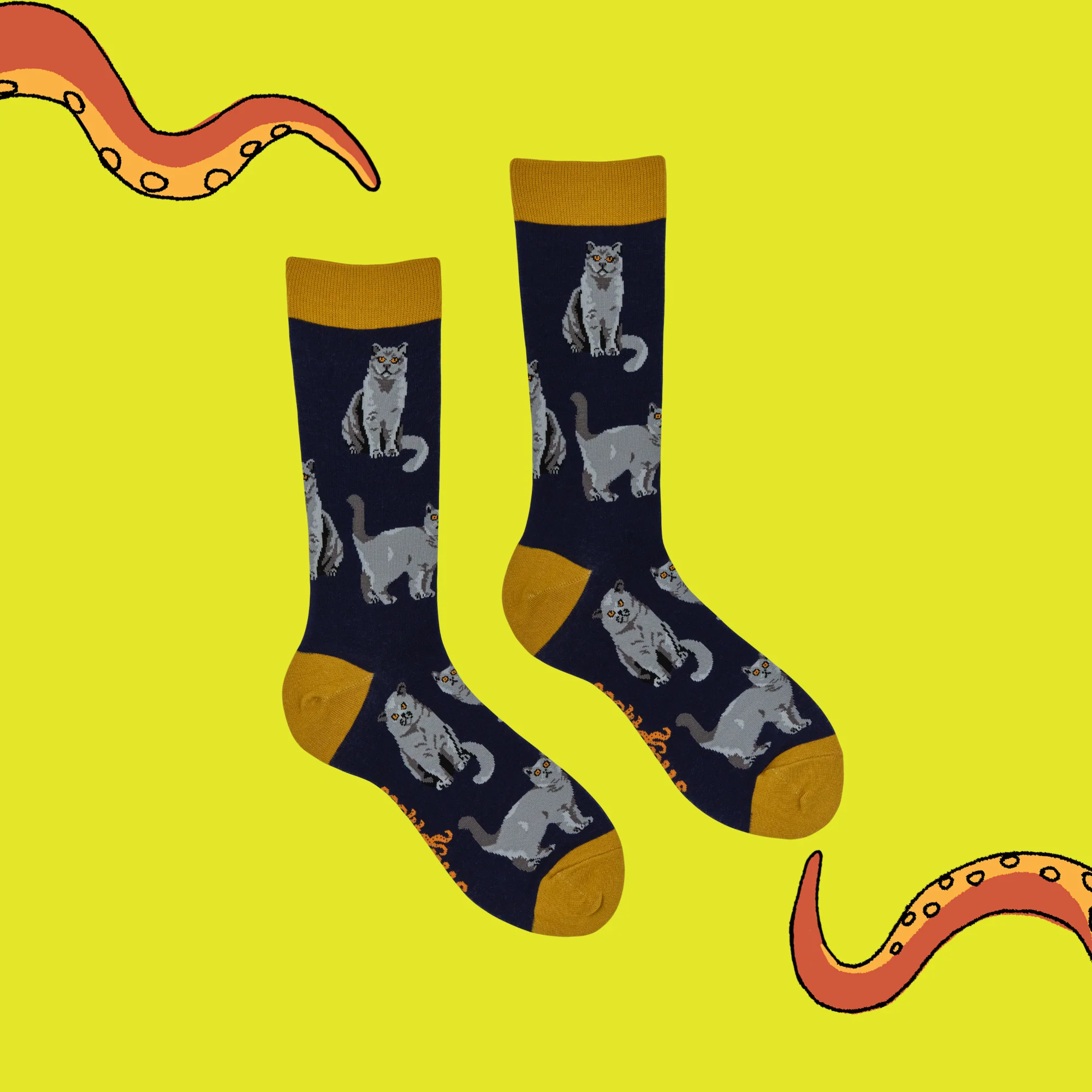 British Shorthair Cat Socks - Short Hair Don't Care - Image 5