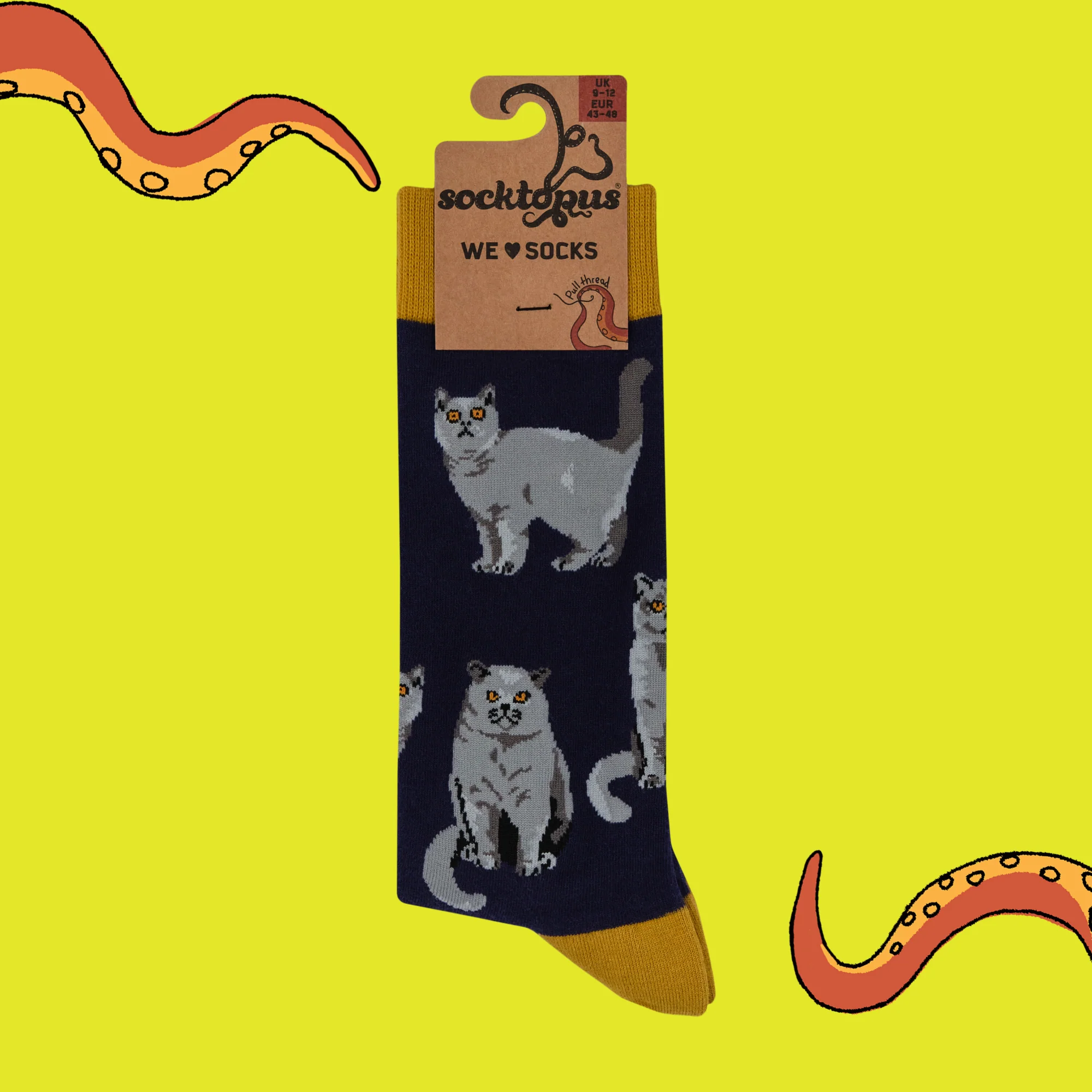 British Shorthair Cat Socks - Short Hair Don't Care - Image 7