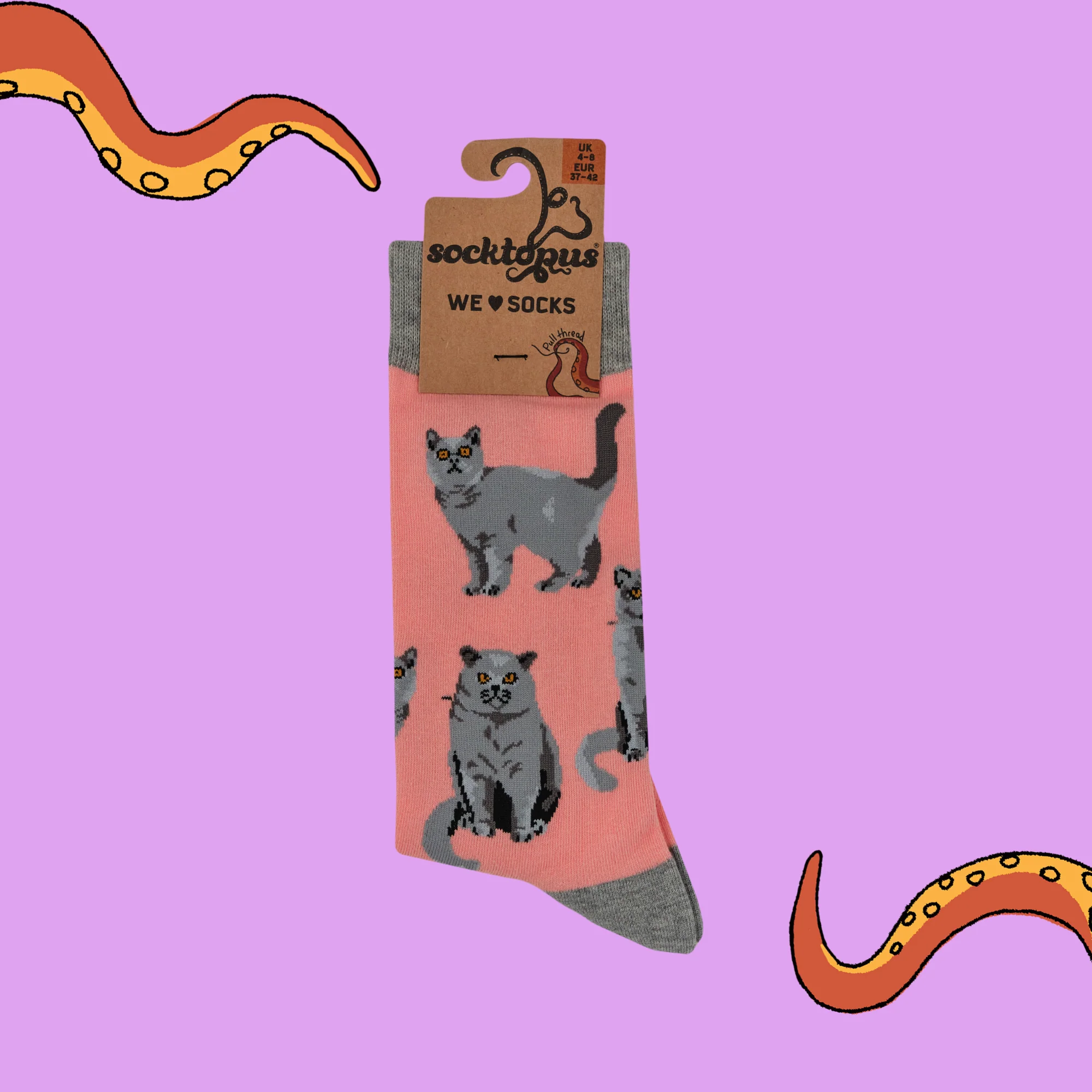 British Shorthair Cat Socks - Short Hair Don't Care - Image 8