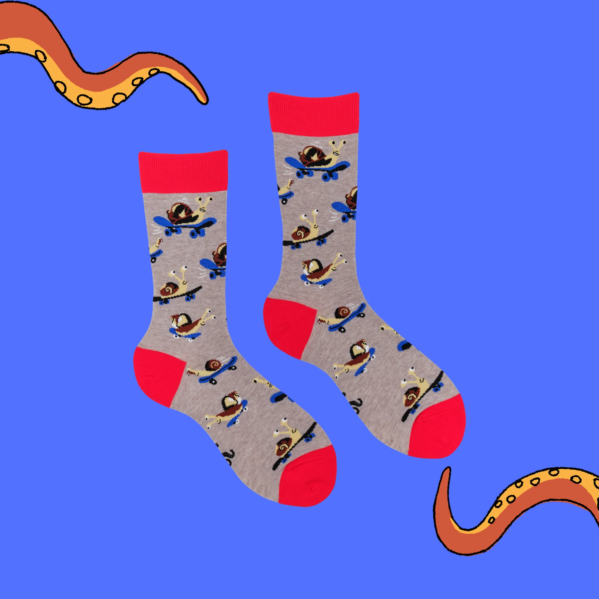 Snail Socks - Snail Boarder - Image 7