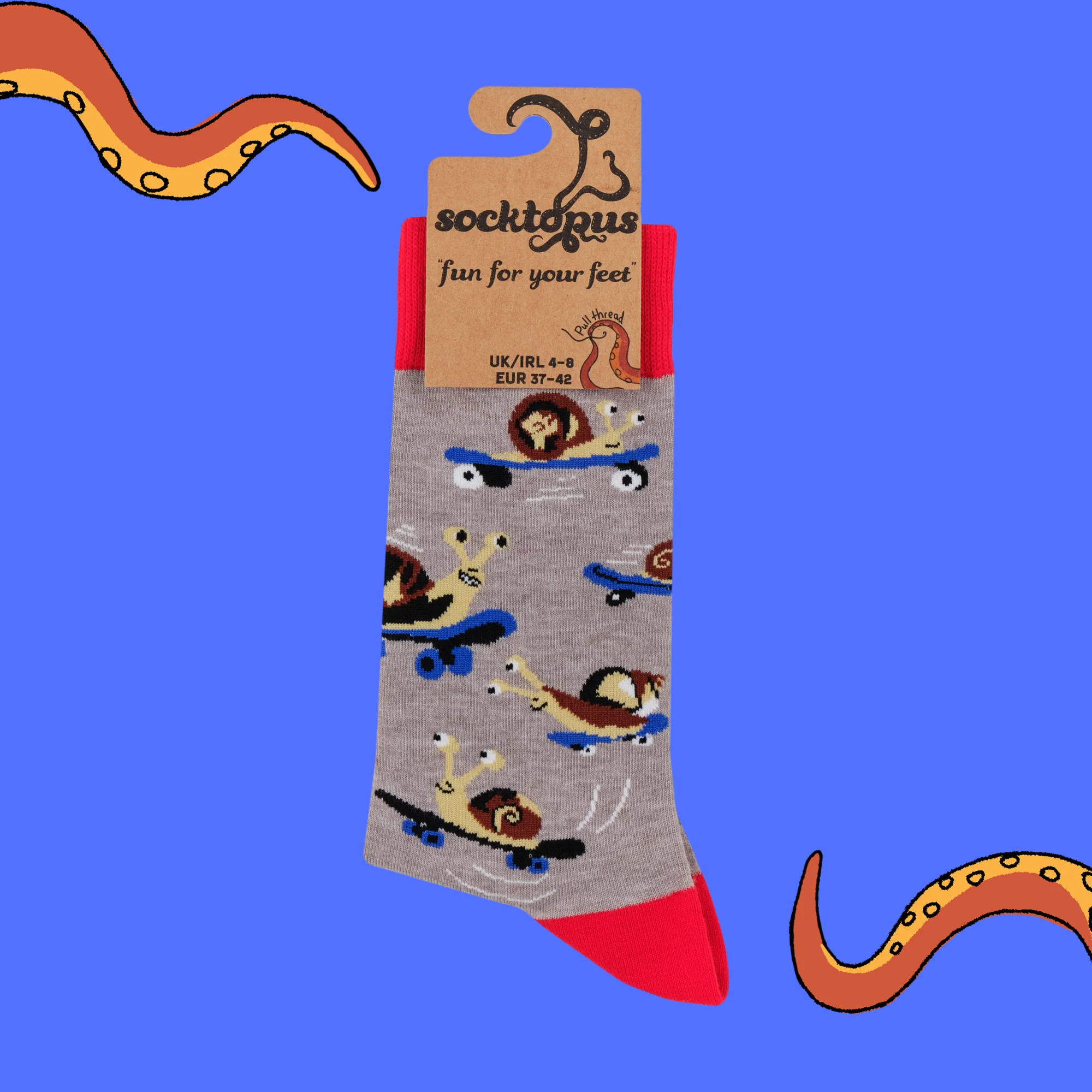 Snail Socks - Snail Boarder - Image 8