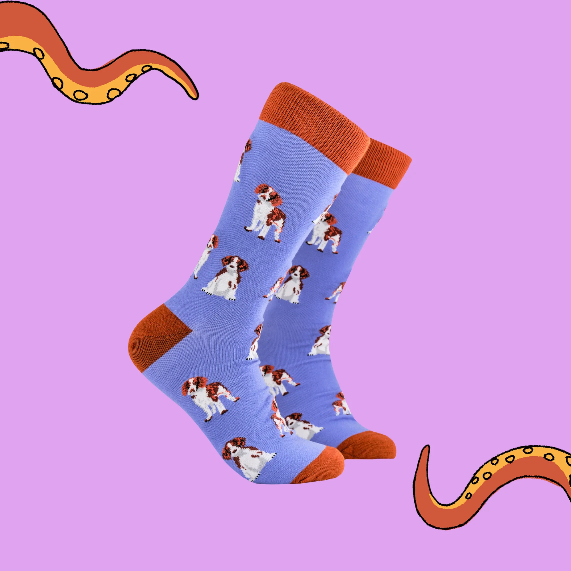 Spaniel Socks - Image 3