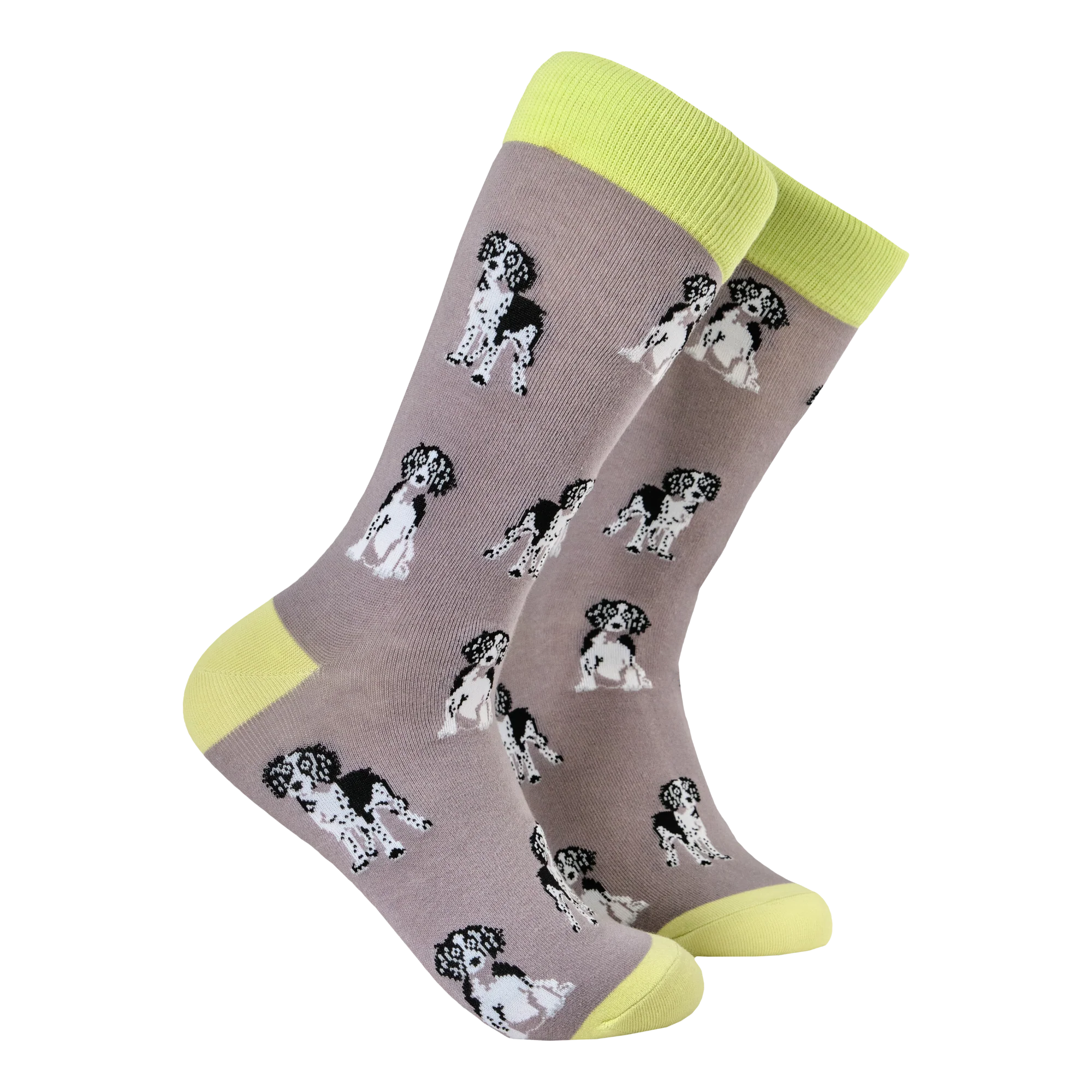 Spaniel Socks - Image 4