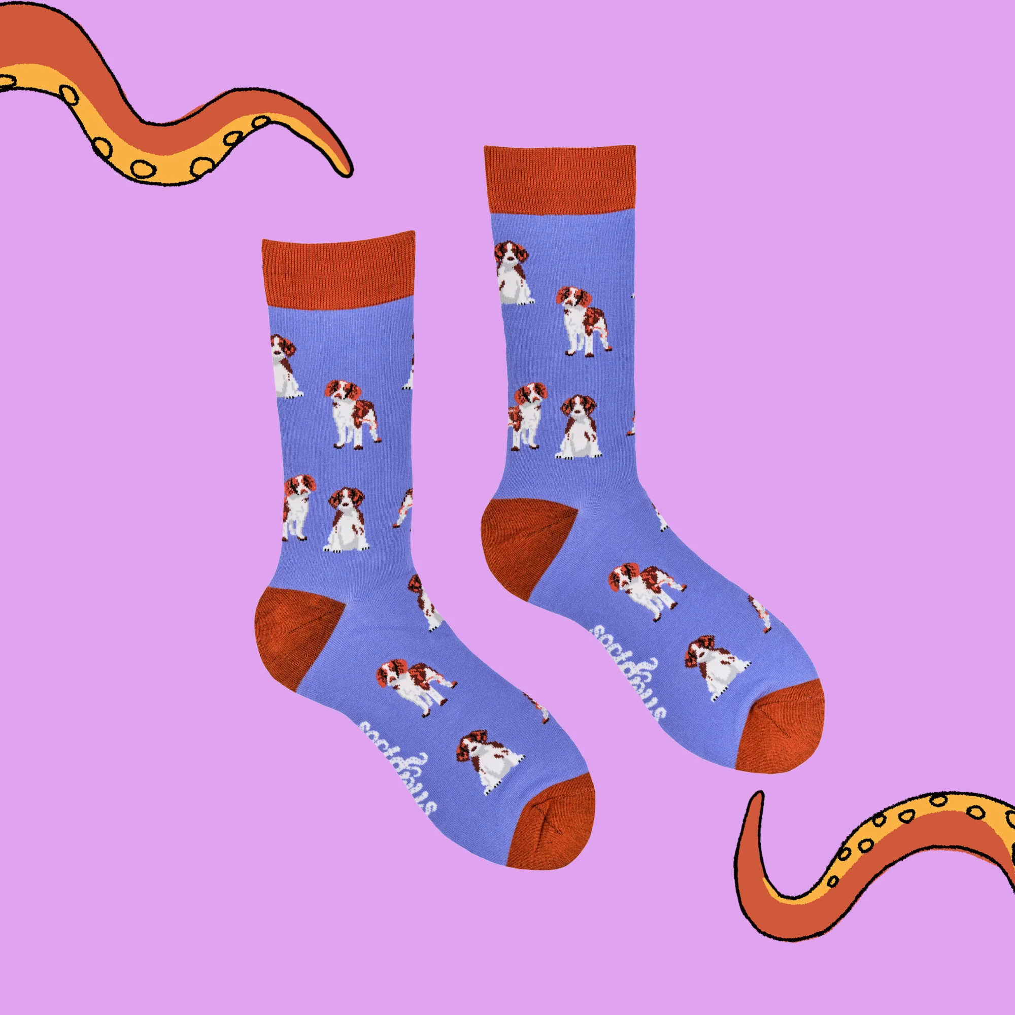 Spaniel Socks - Image 5