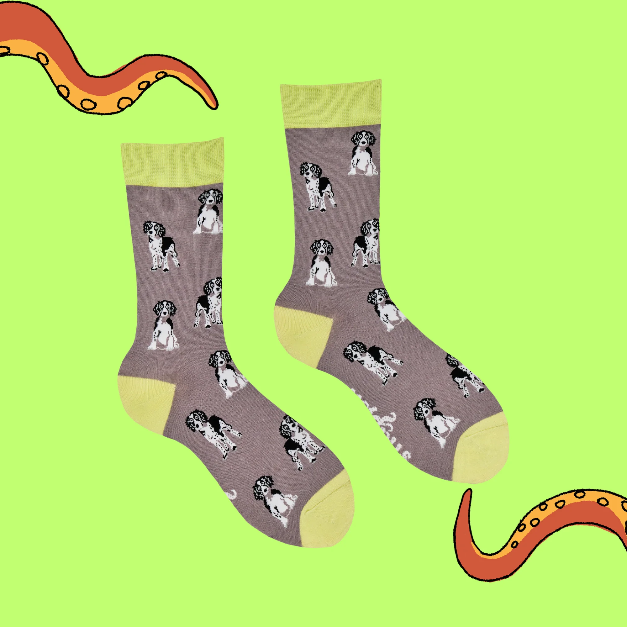 Spaniel Socks - Image 6