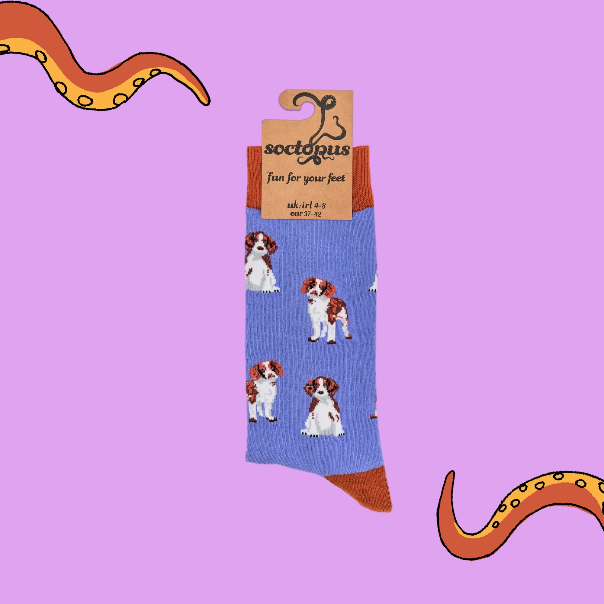 Spaniel Socks - Image 7