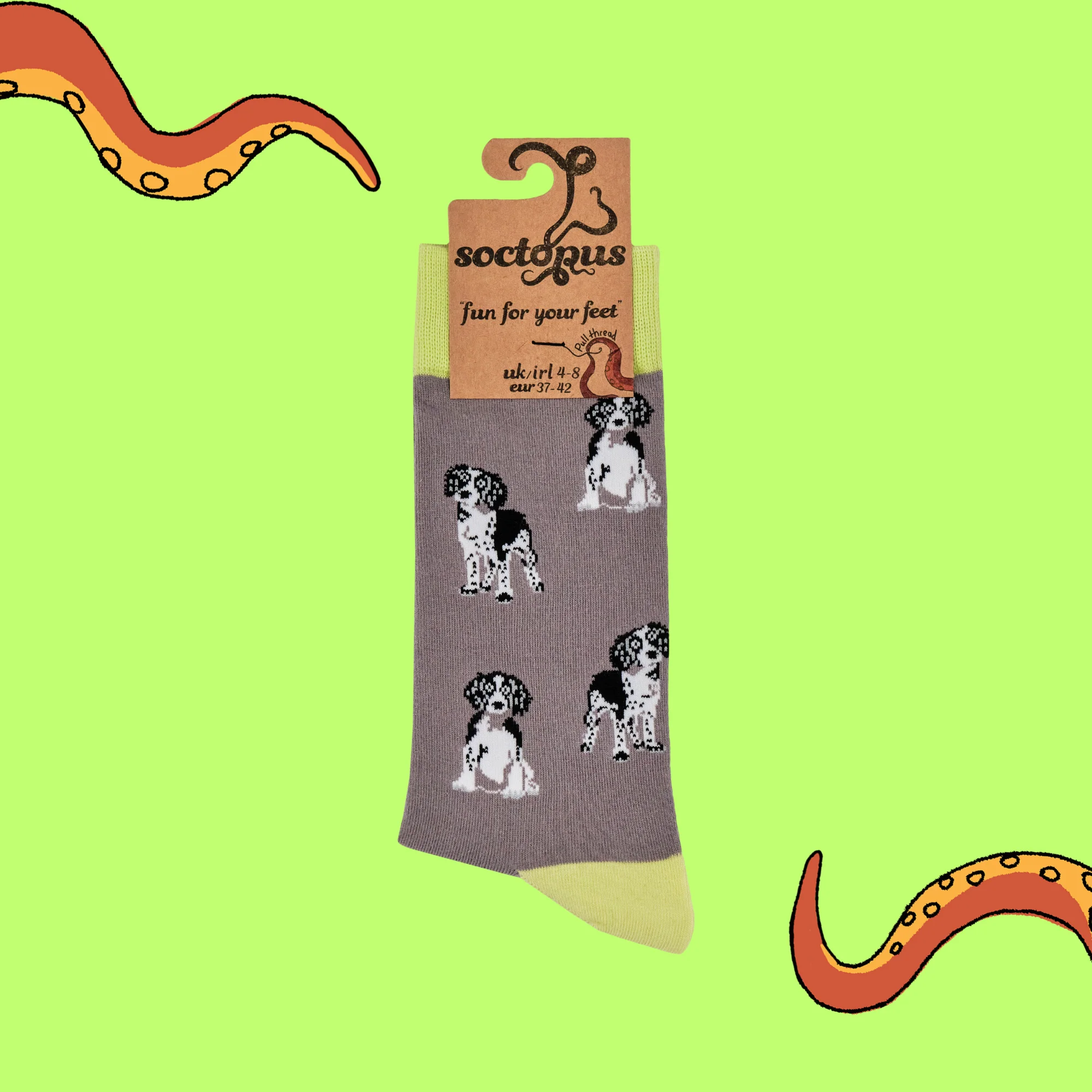 Spaniel Socks - Image 8