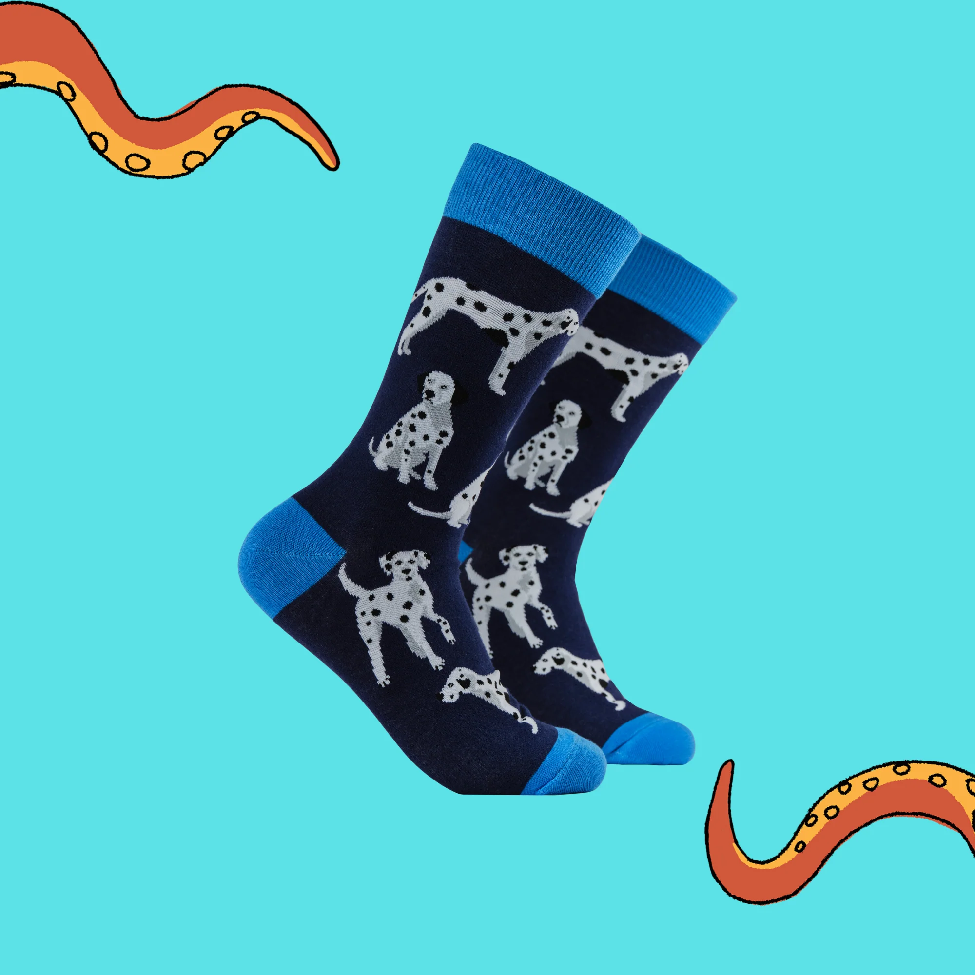 Dalmatian Socks - Spot The Difference - Image 2