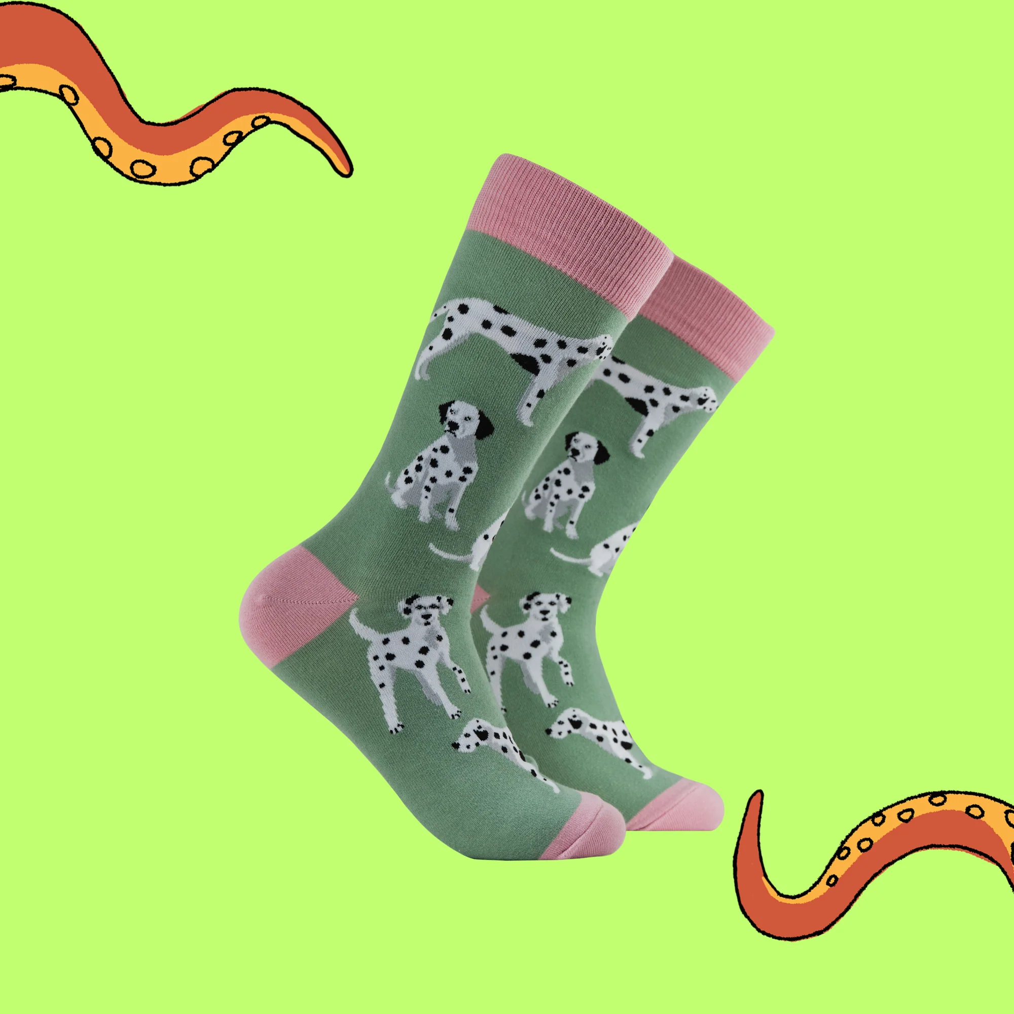 Dalmatian Socks - Spot The Difference - Image 3
