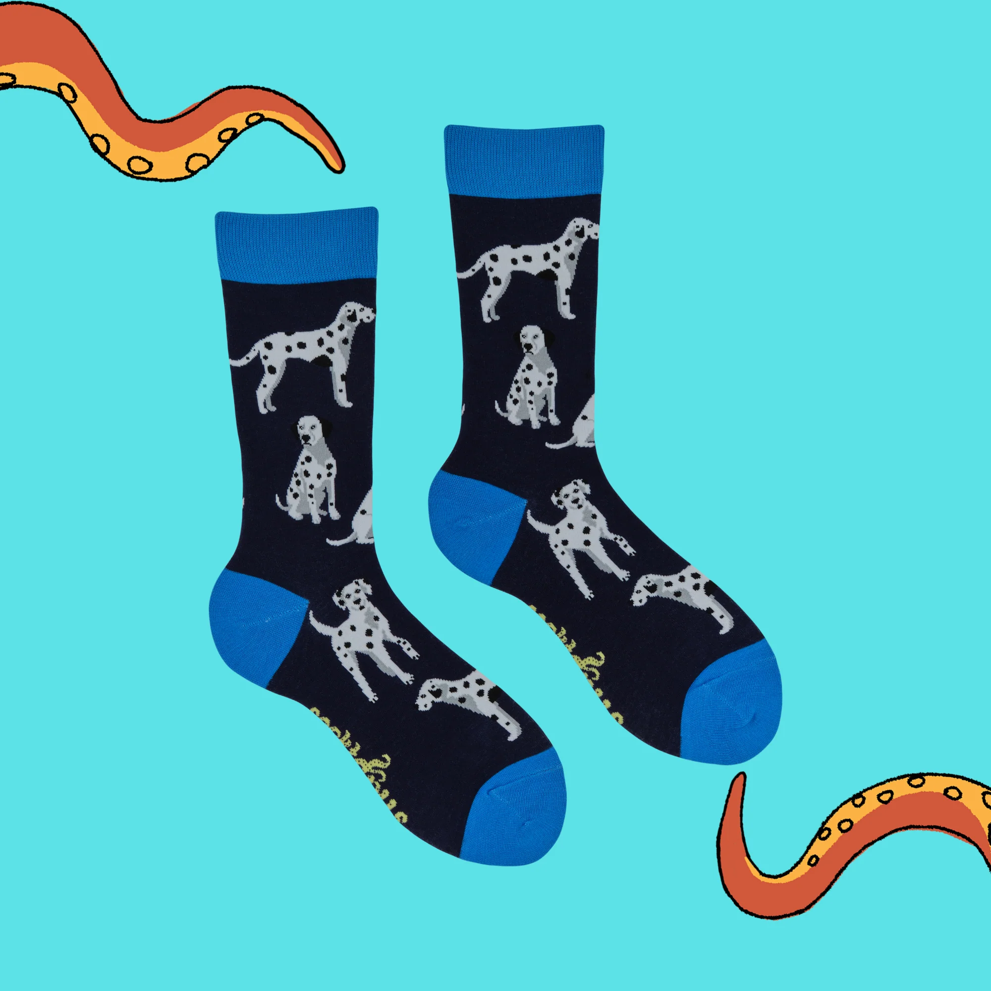 Dalmatian Socks - Spot The Difference - Image 4