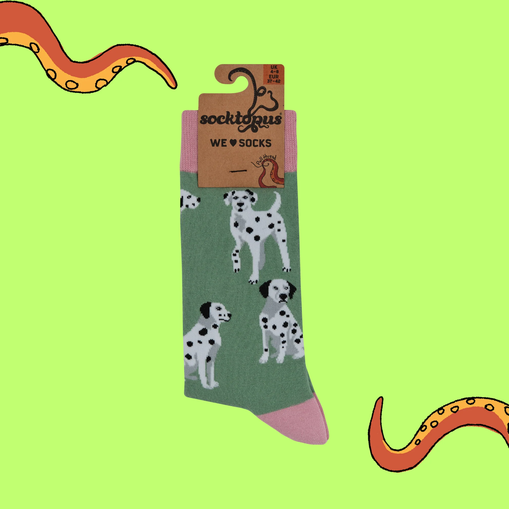 Dalmatian Socks - Spot The Difference - Image 5