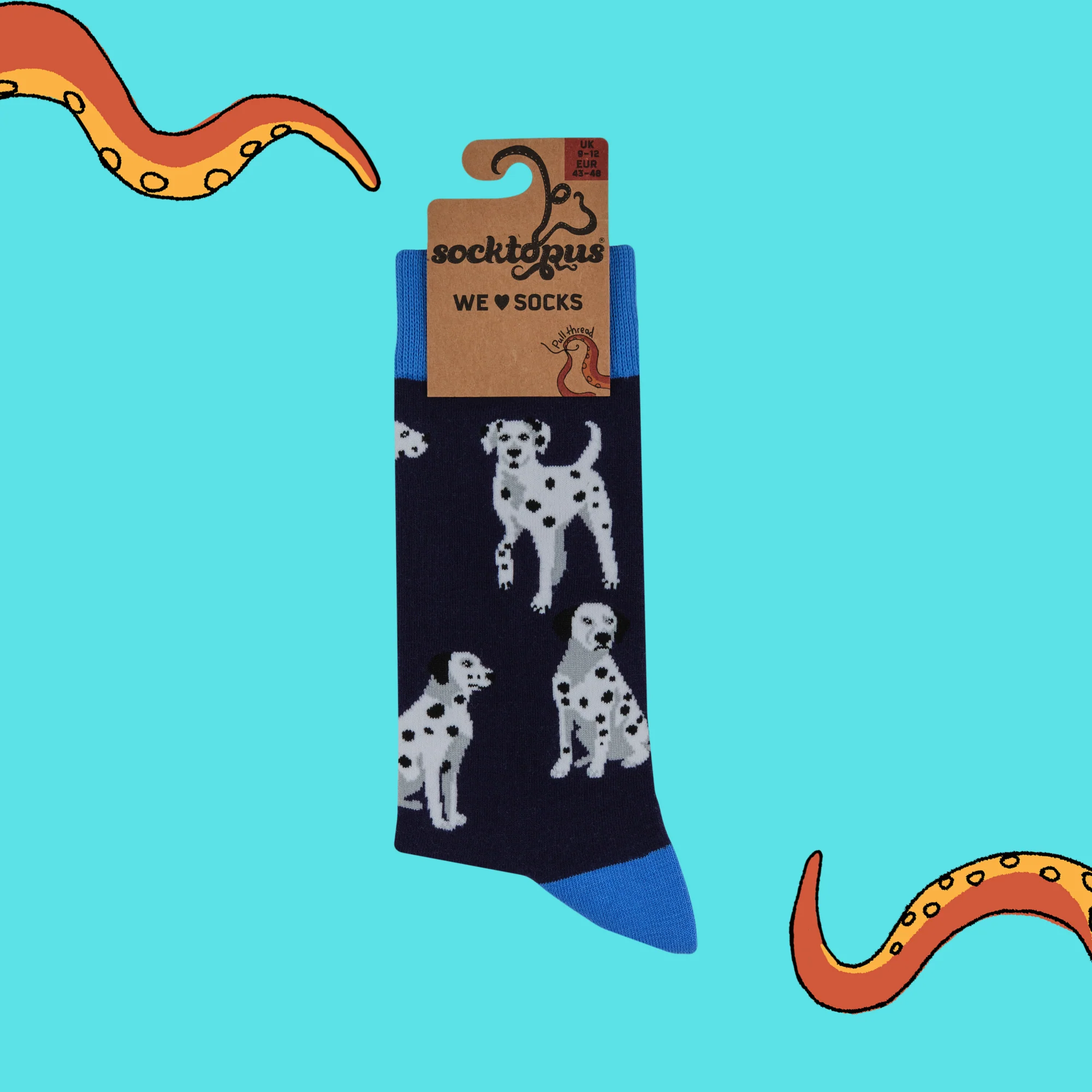 Dalmatian Socks - Spot The Difference - Image 7