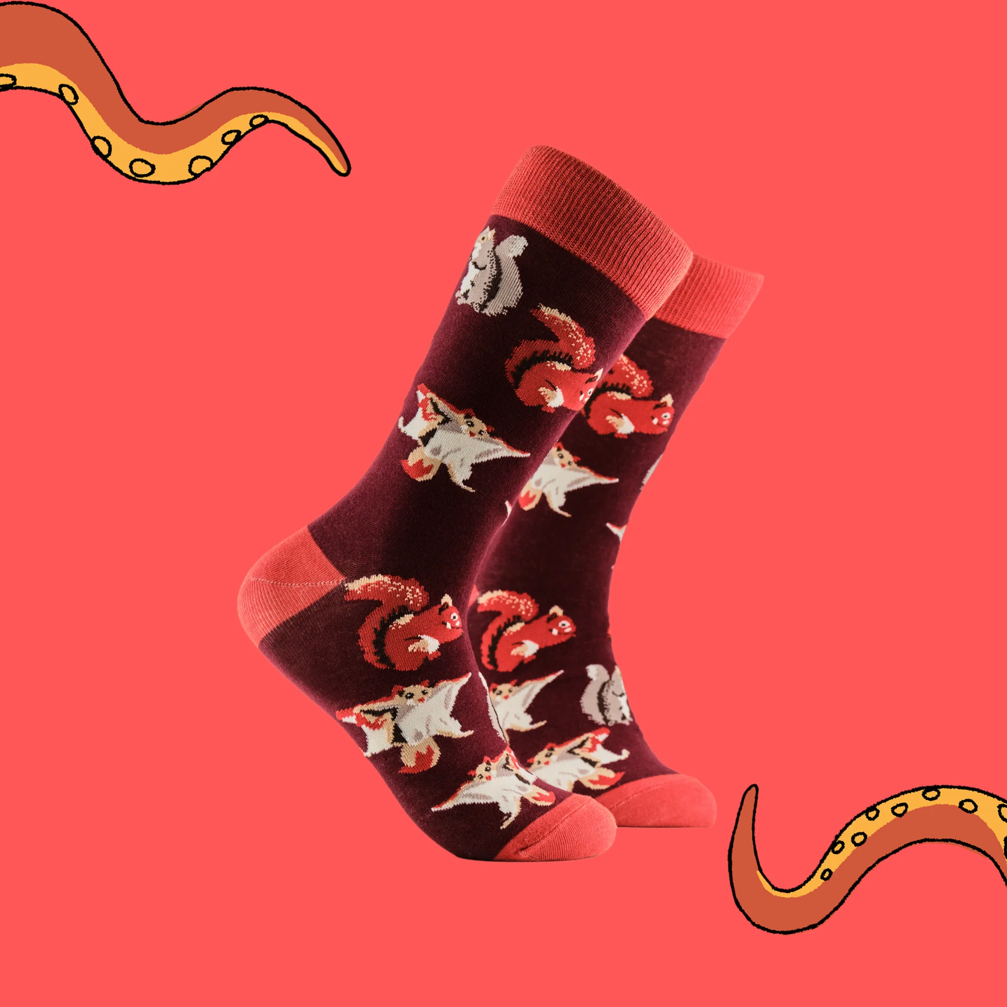 Squirrel Lover Socks - Image 2