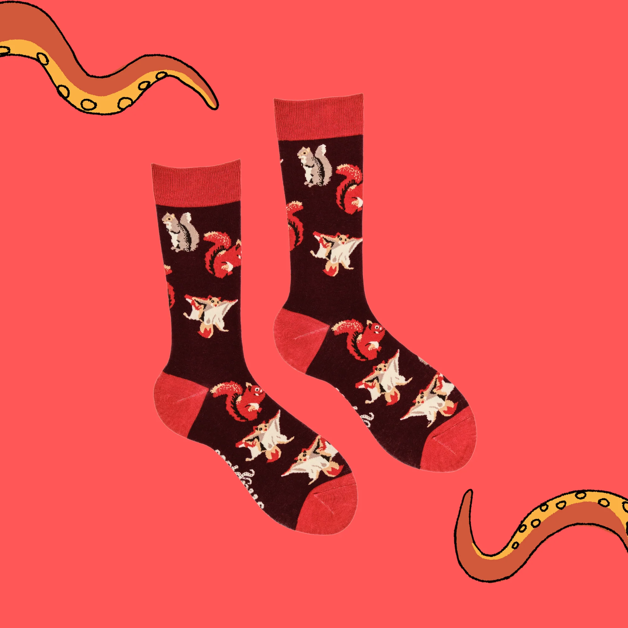 Squirrel Lover Socks - Image 3