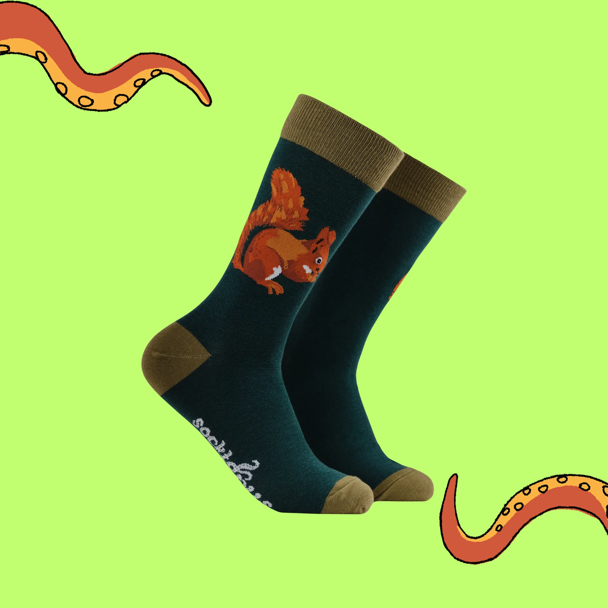 Squirrel Socks - Socktopus X Robert E Fuller - Image 2