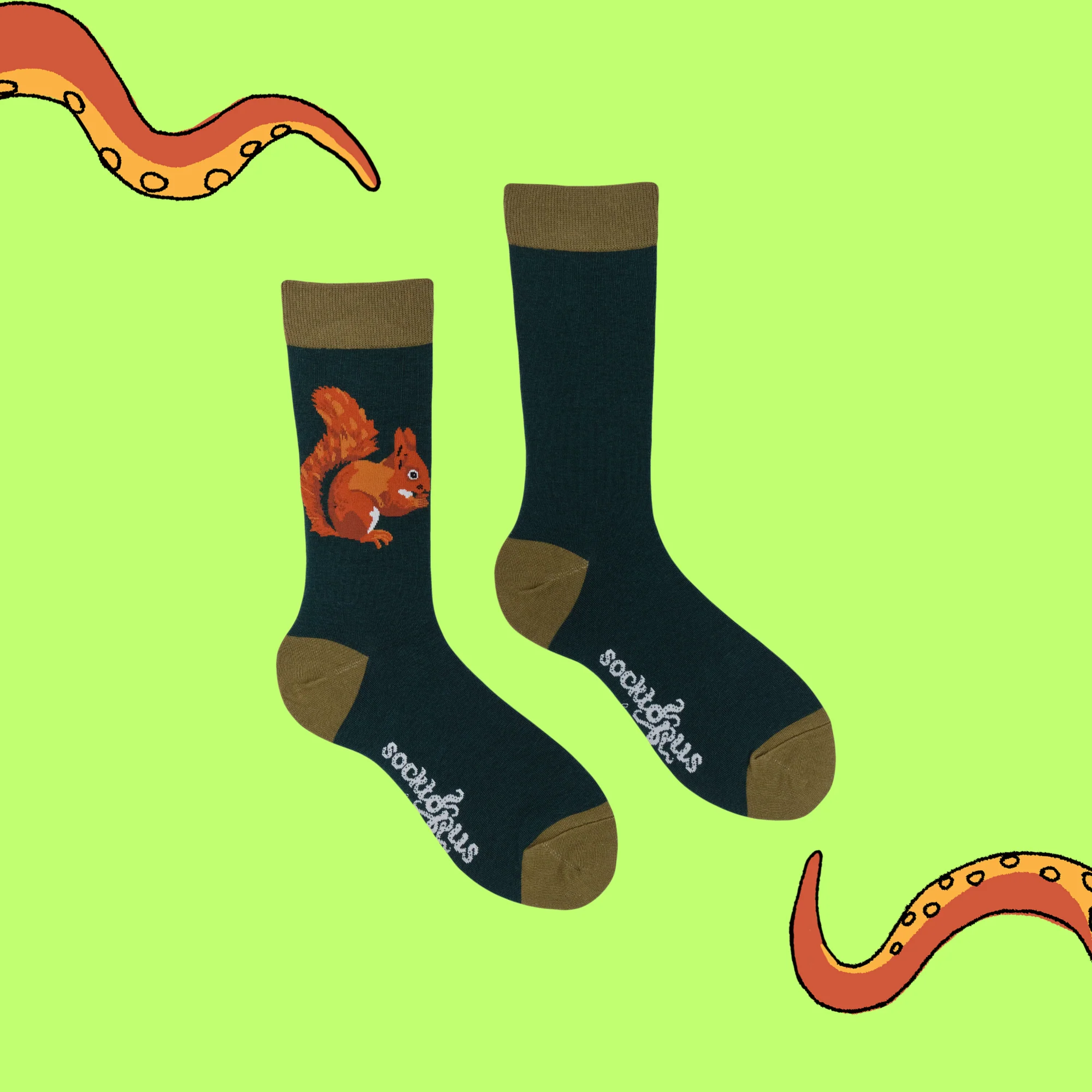 Squirrel Socks - Socktopus X Robert E Fuller - Image 3