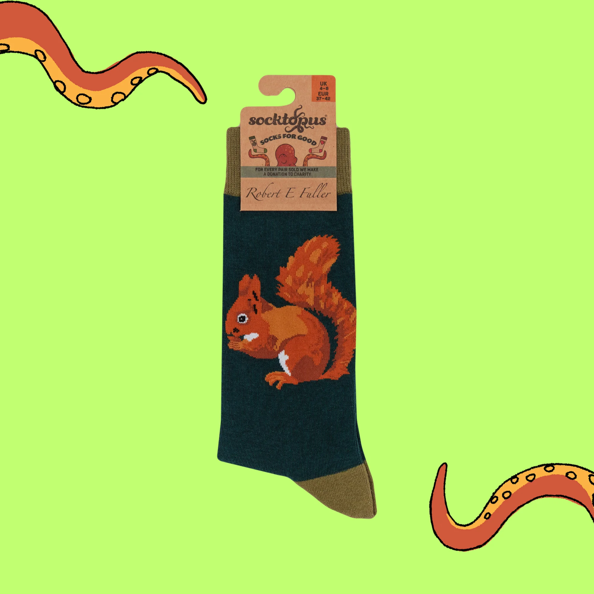 Squirrel Socks - Socktopus X Robert E Fuller - Image 4