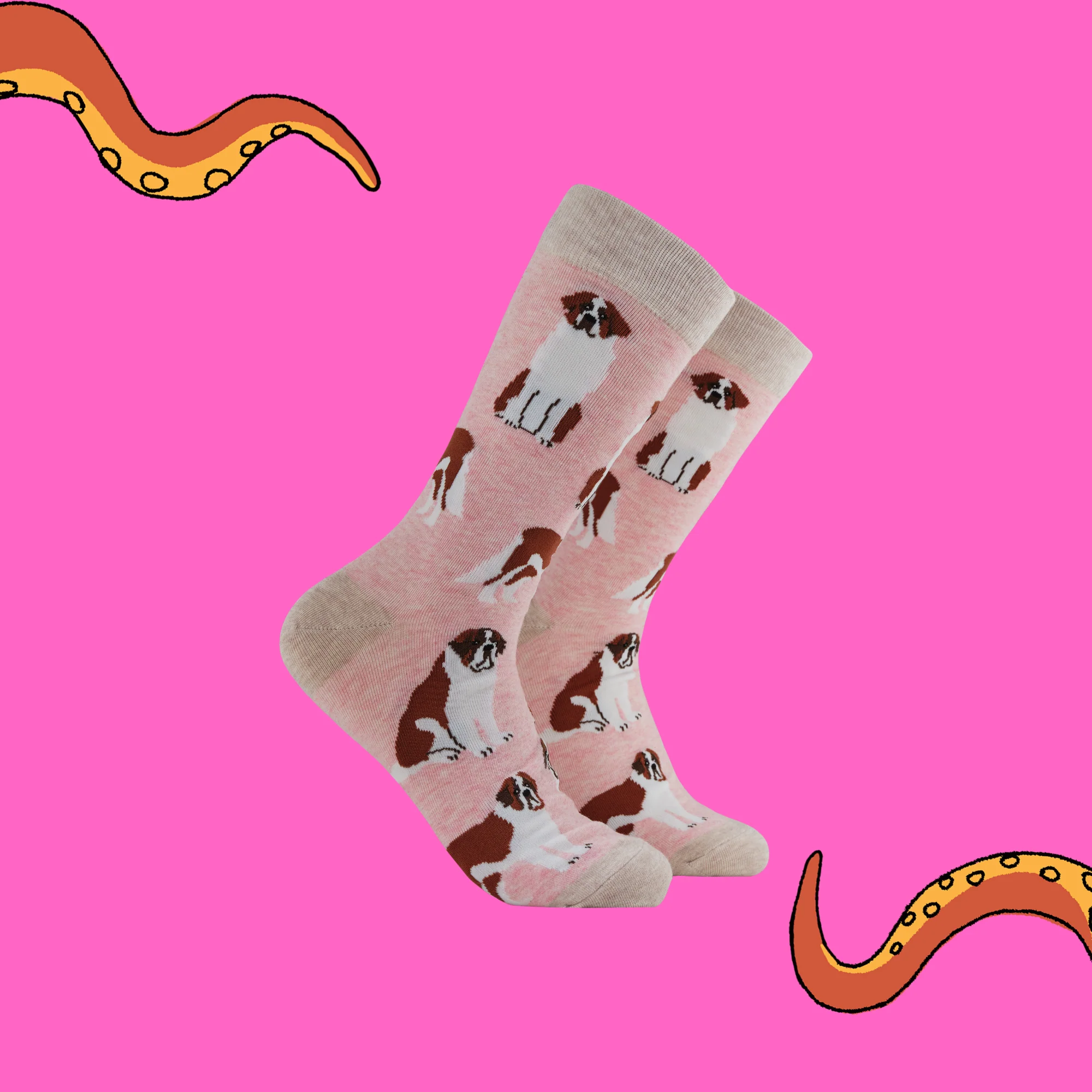 Saint Bernard Dog Socks - Oh When The Saints! - Image 2