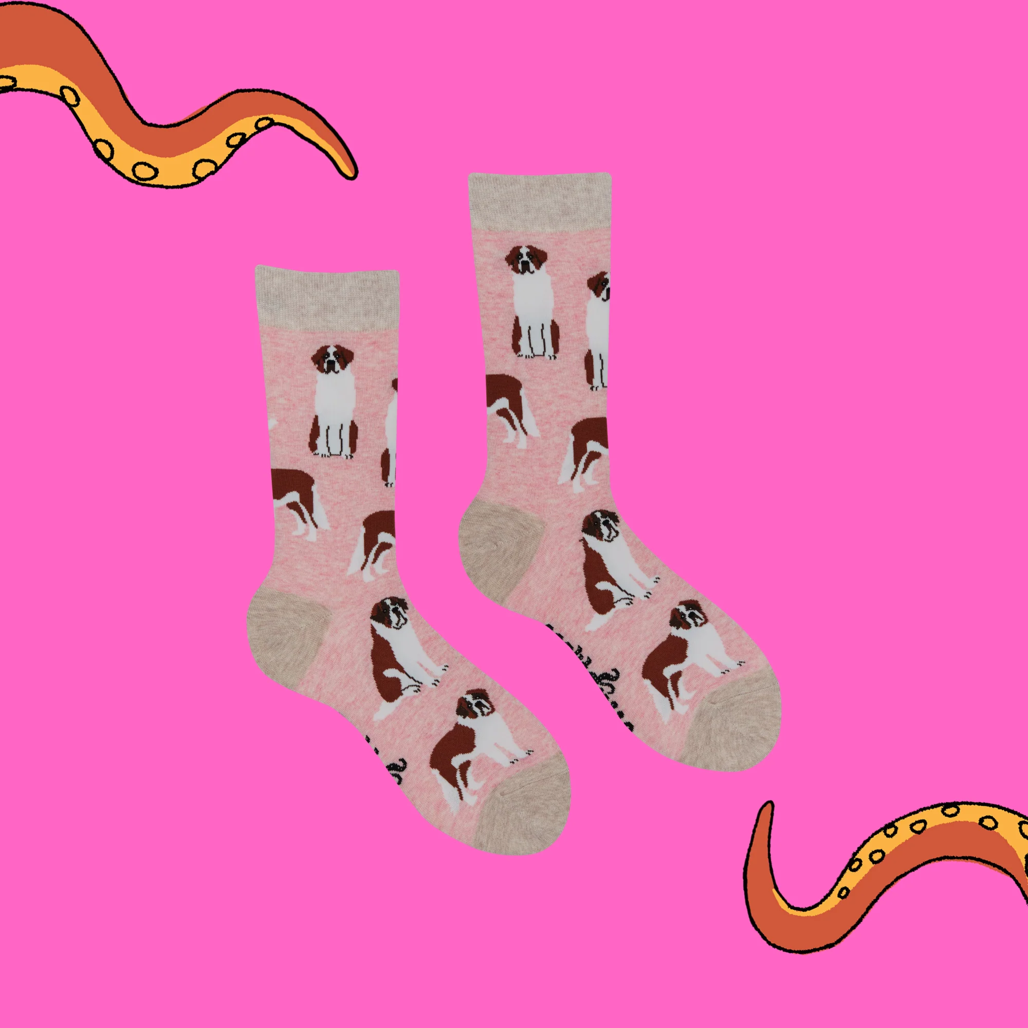 Saint Bernard Dog Socks - Oh When The Saints! - Image 5