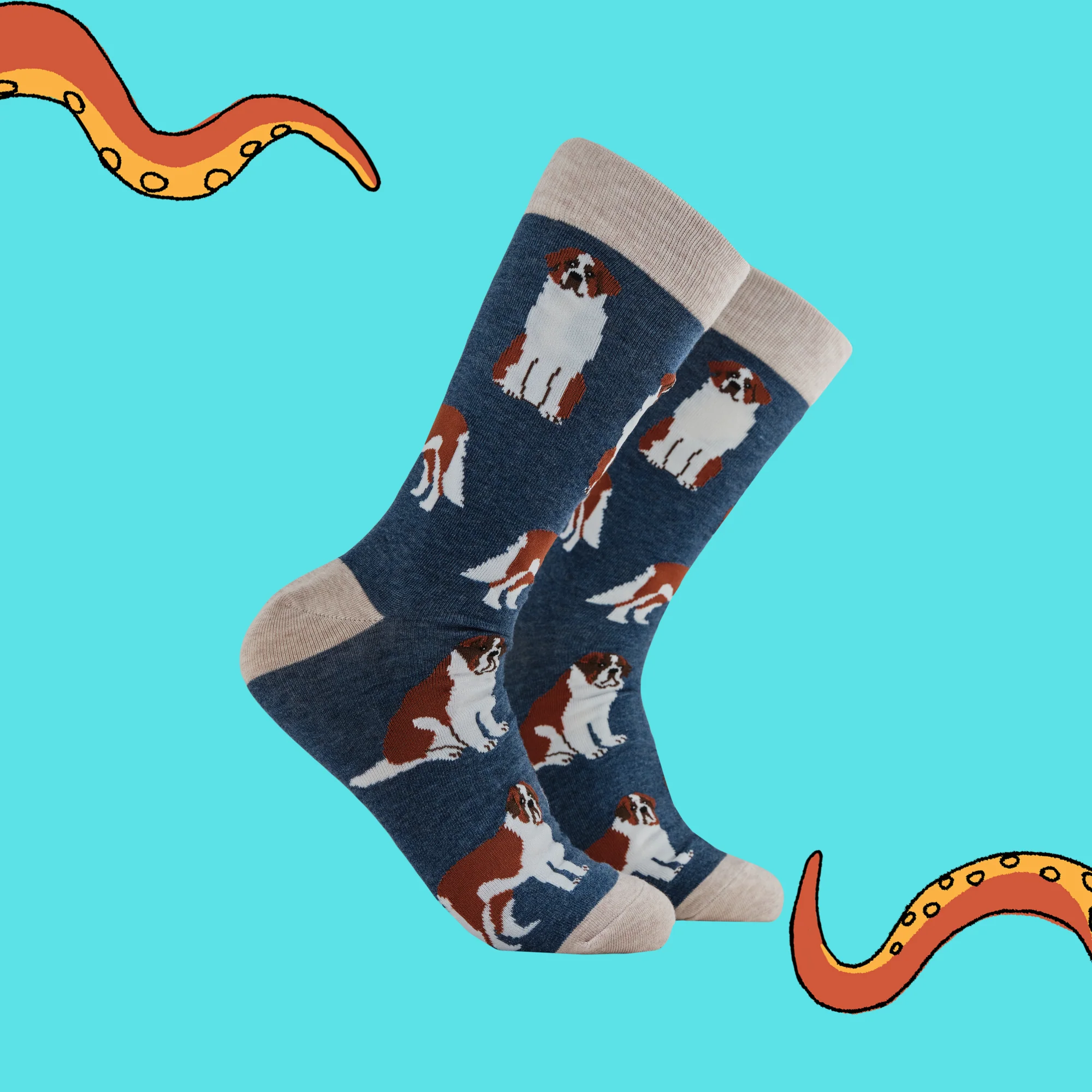 Saint Bernard Dog Socks - Oh When The Saints! - Image 6
