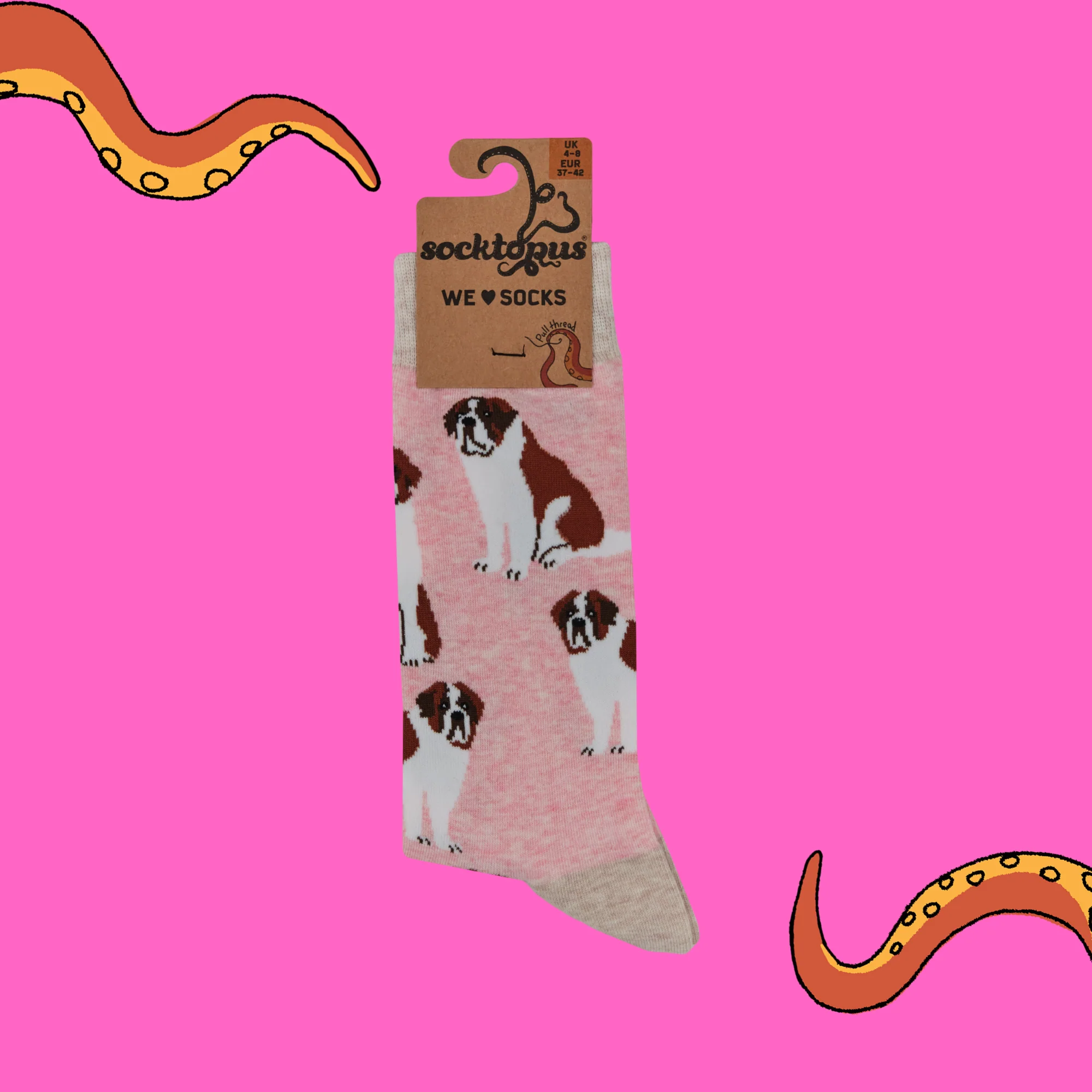 Saint Bernard Dog Socks - Oh When The Saints! - Image 7