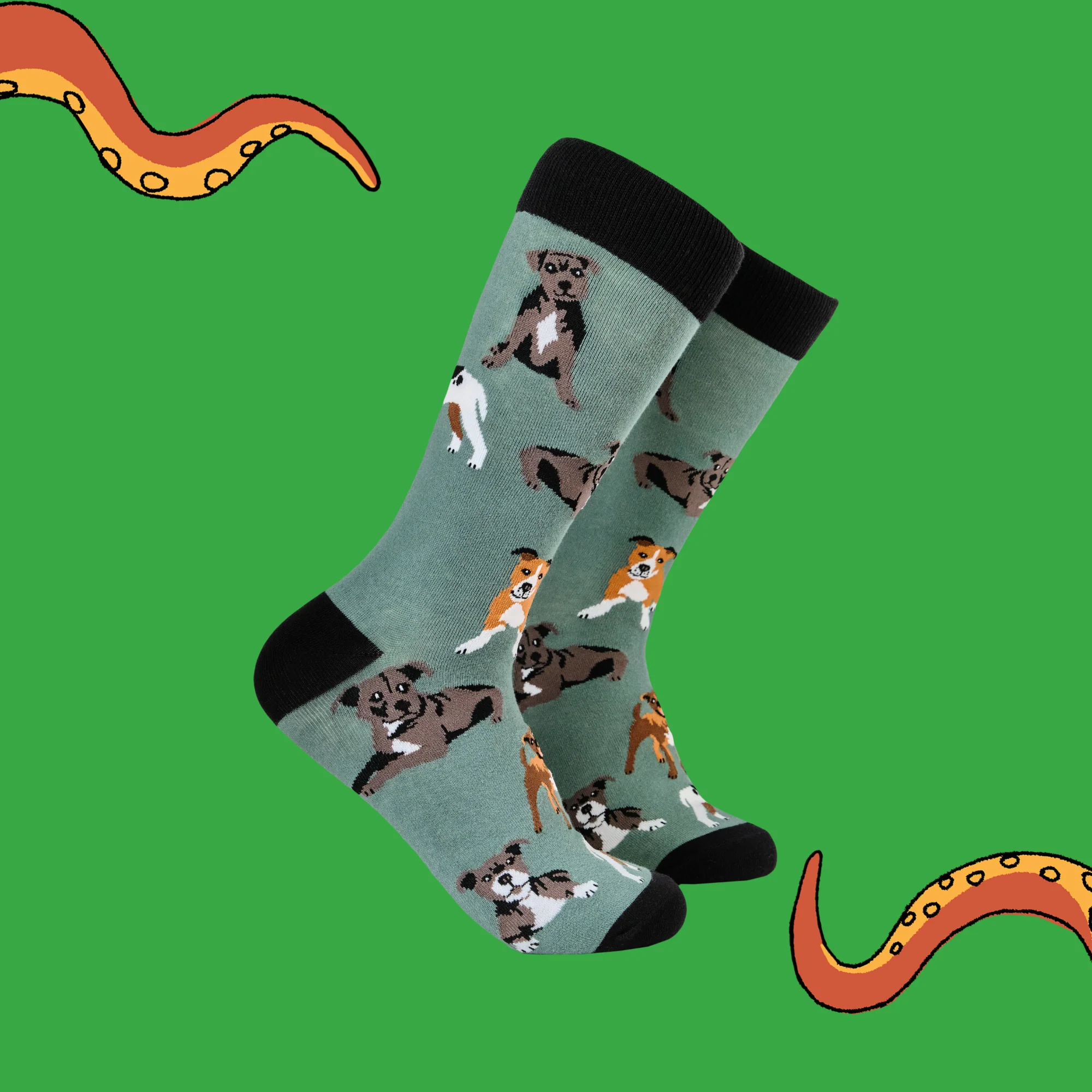 Staffordshire Terrier Socks - Staffies - Image 2