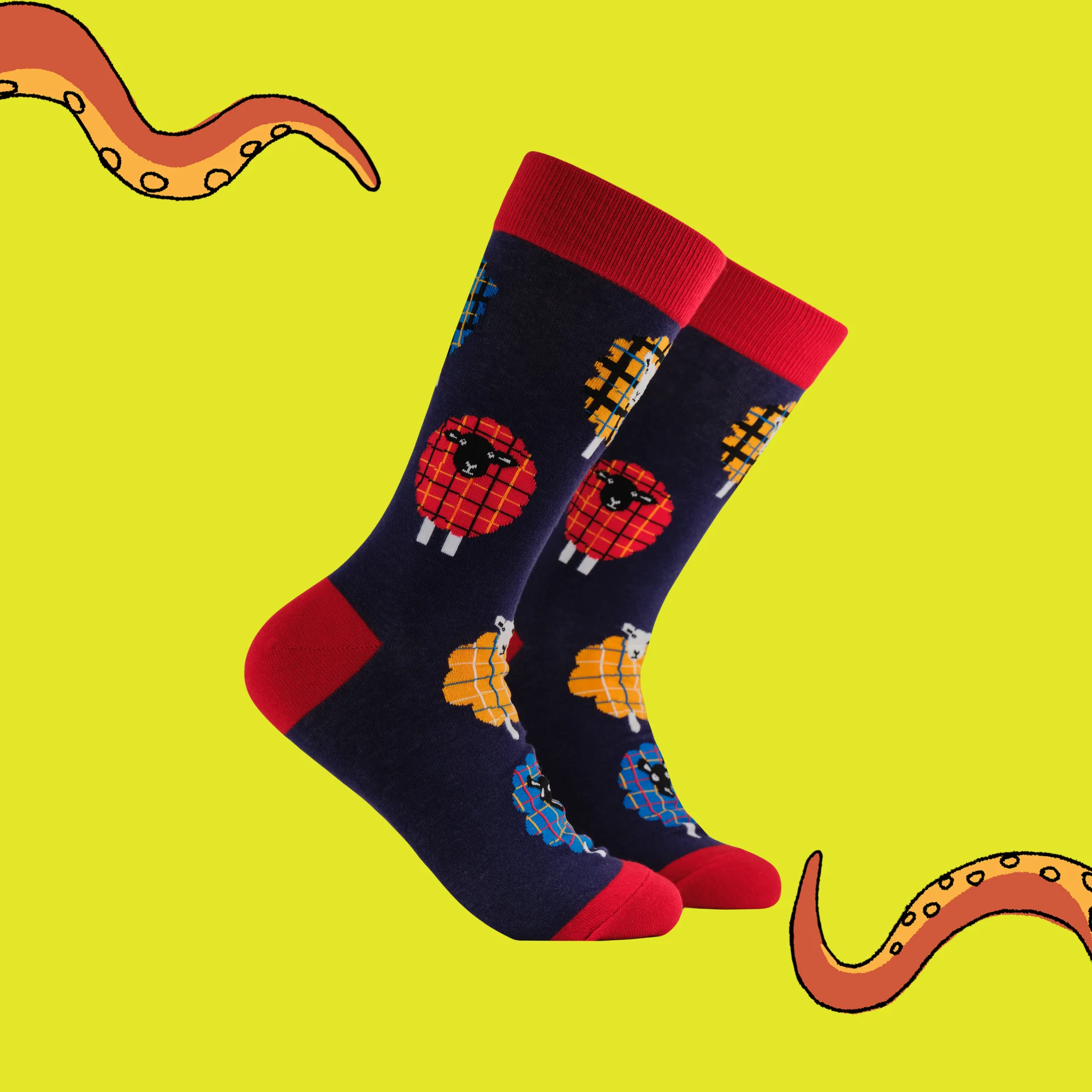 Tartan Sheep Socks - Image 2