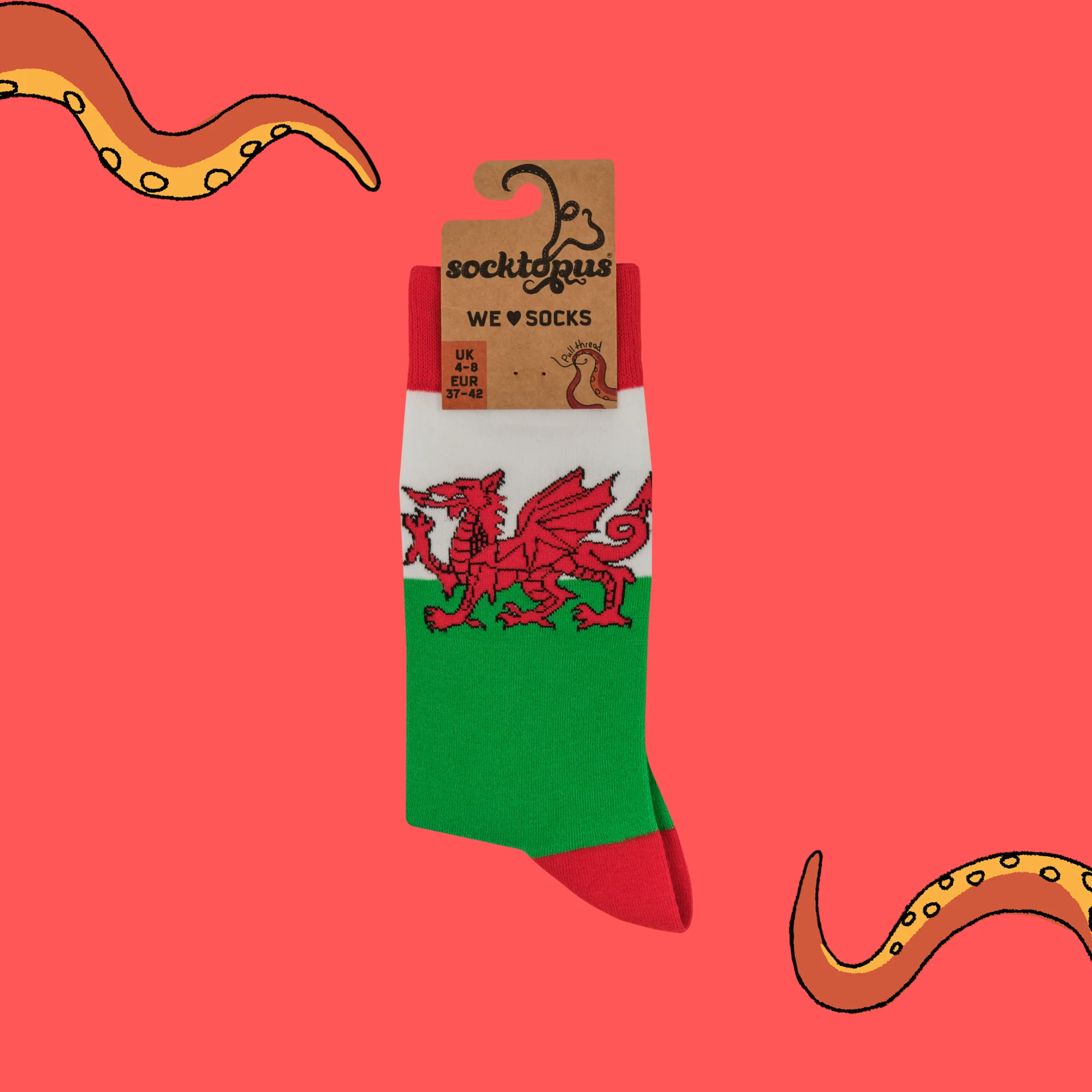 Welsh Flag Socks - Image 4