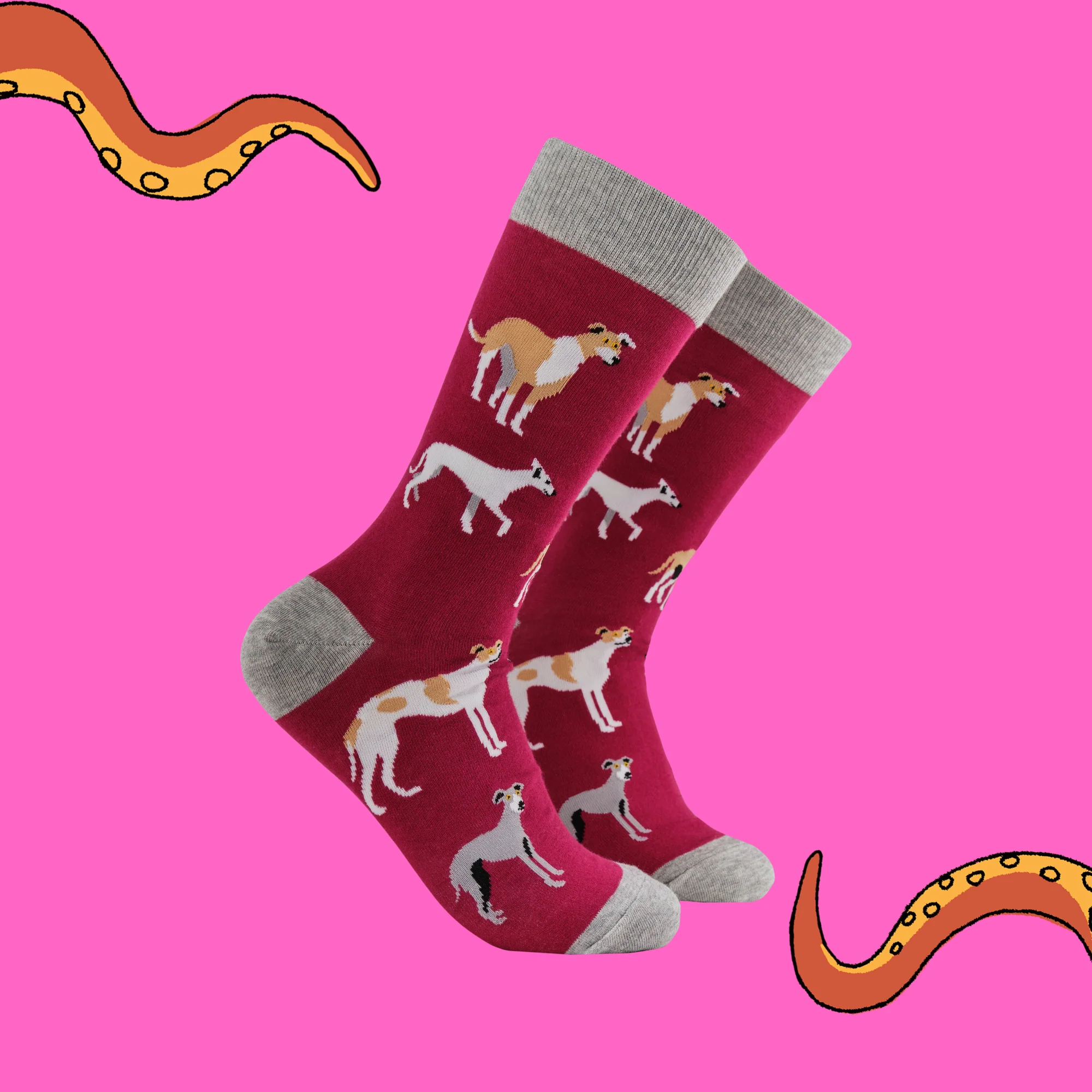 Whippet Socks - Off Like a Whippet - Image 2