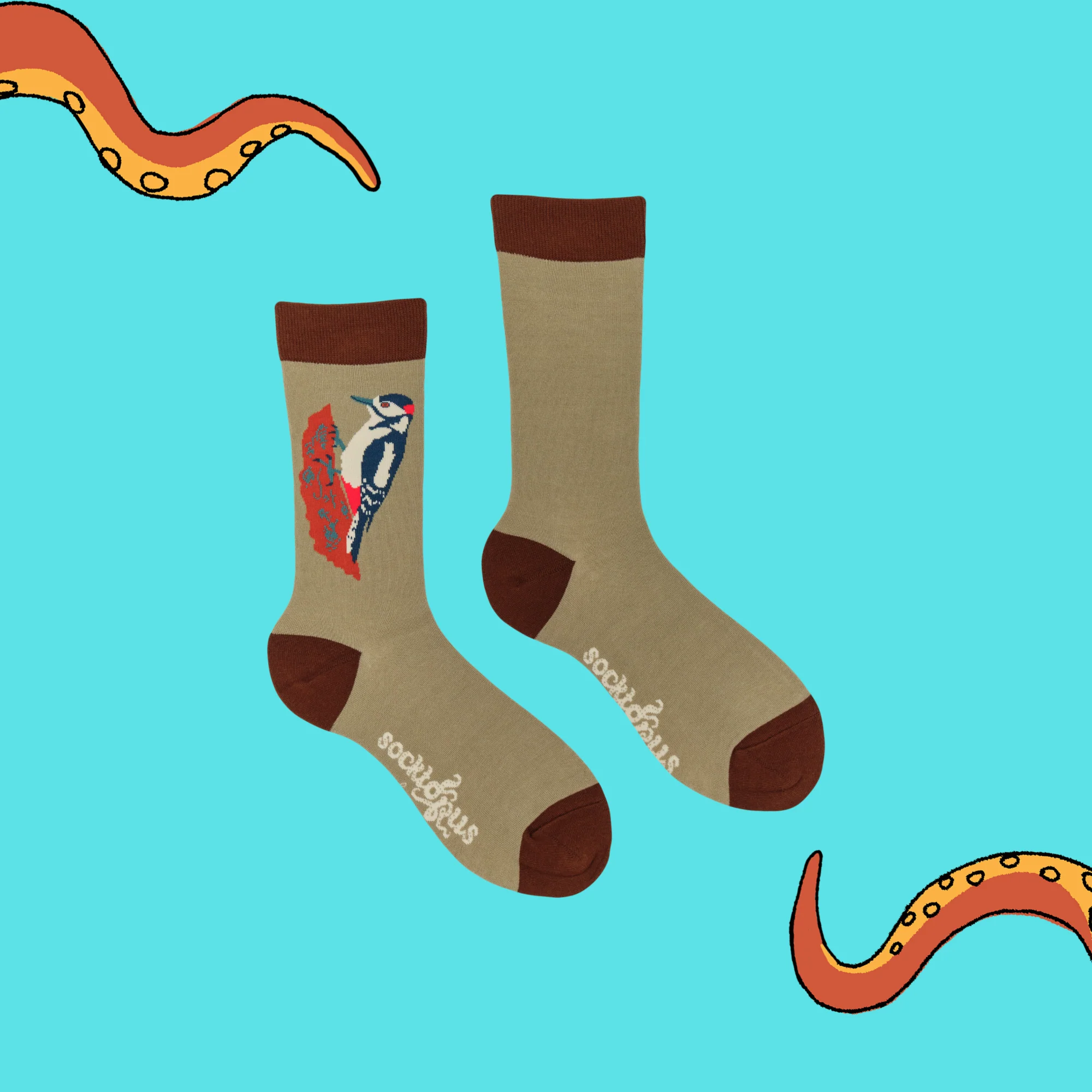 Woodpecker Socks - Socktopus X Robert E Fuller - Image 3