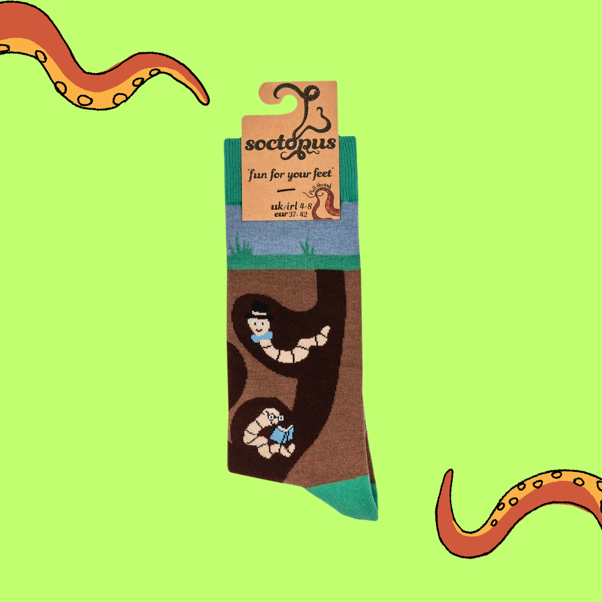 Wormery Socks - Image 4