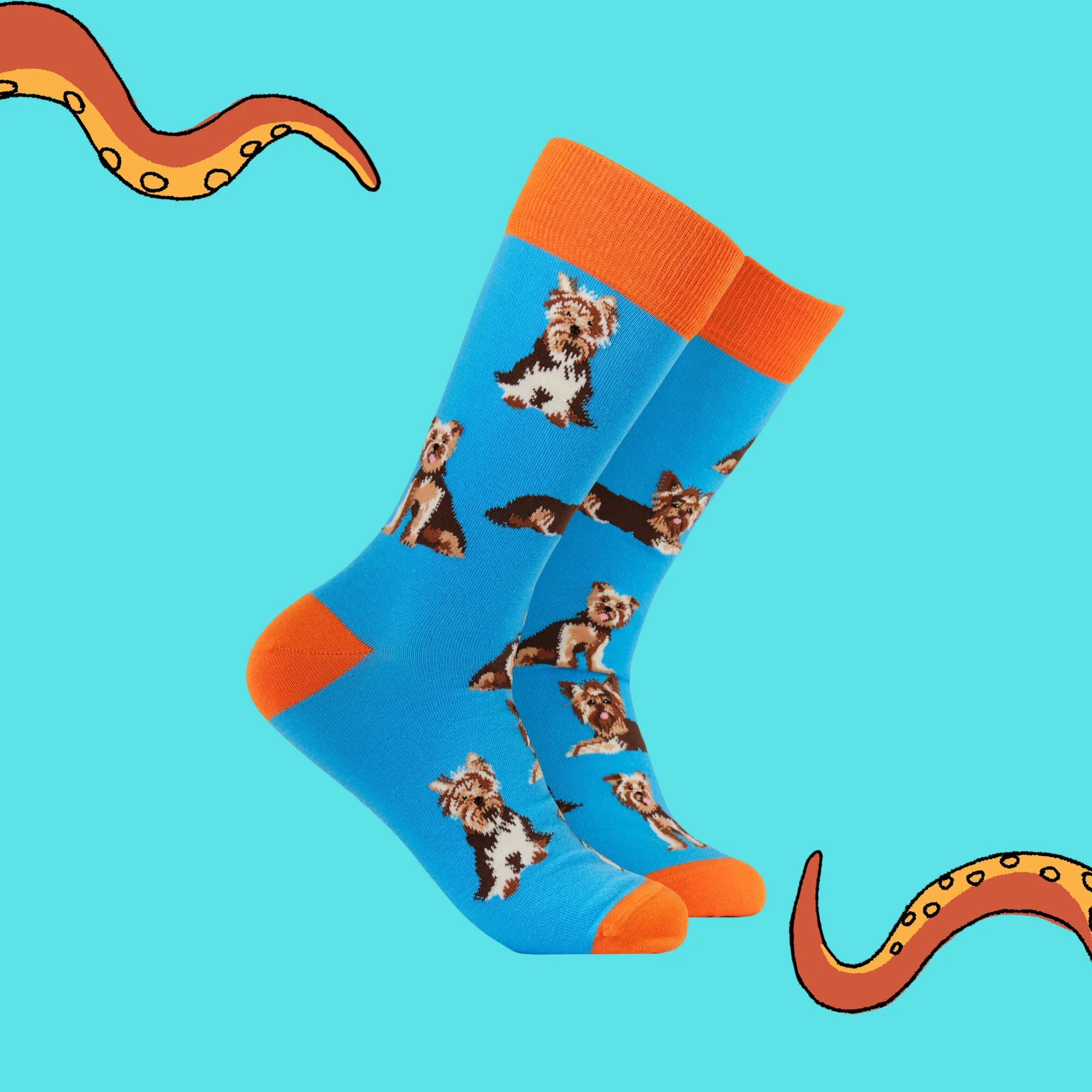 Yorkshire Terrier Socks - Yorkies - Image 2