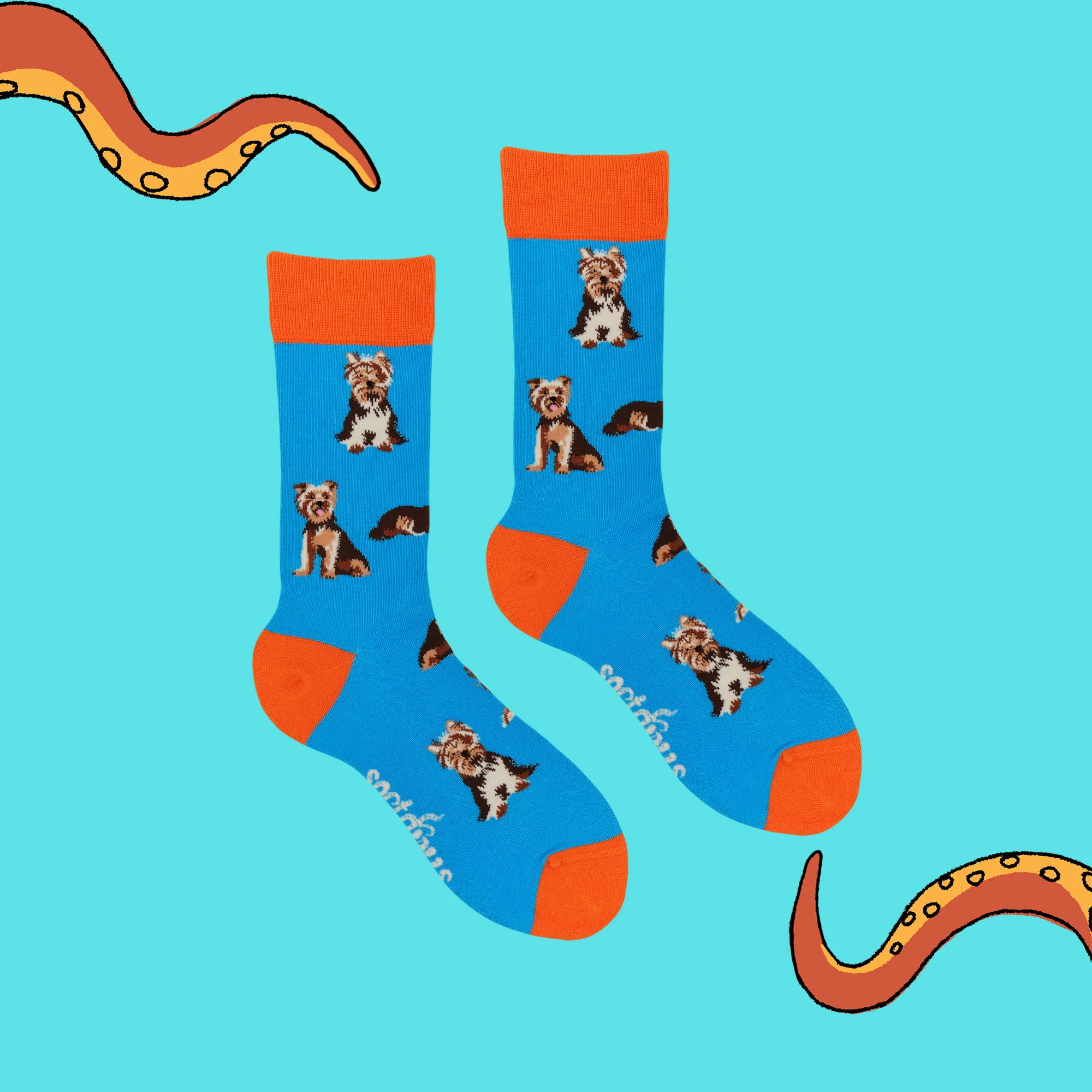 Yorkshire Terrier Socks - Yorkies - Image 3