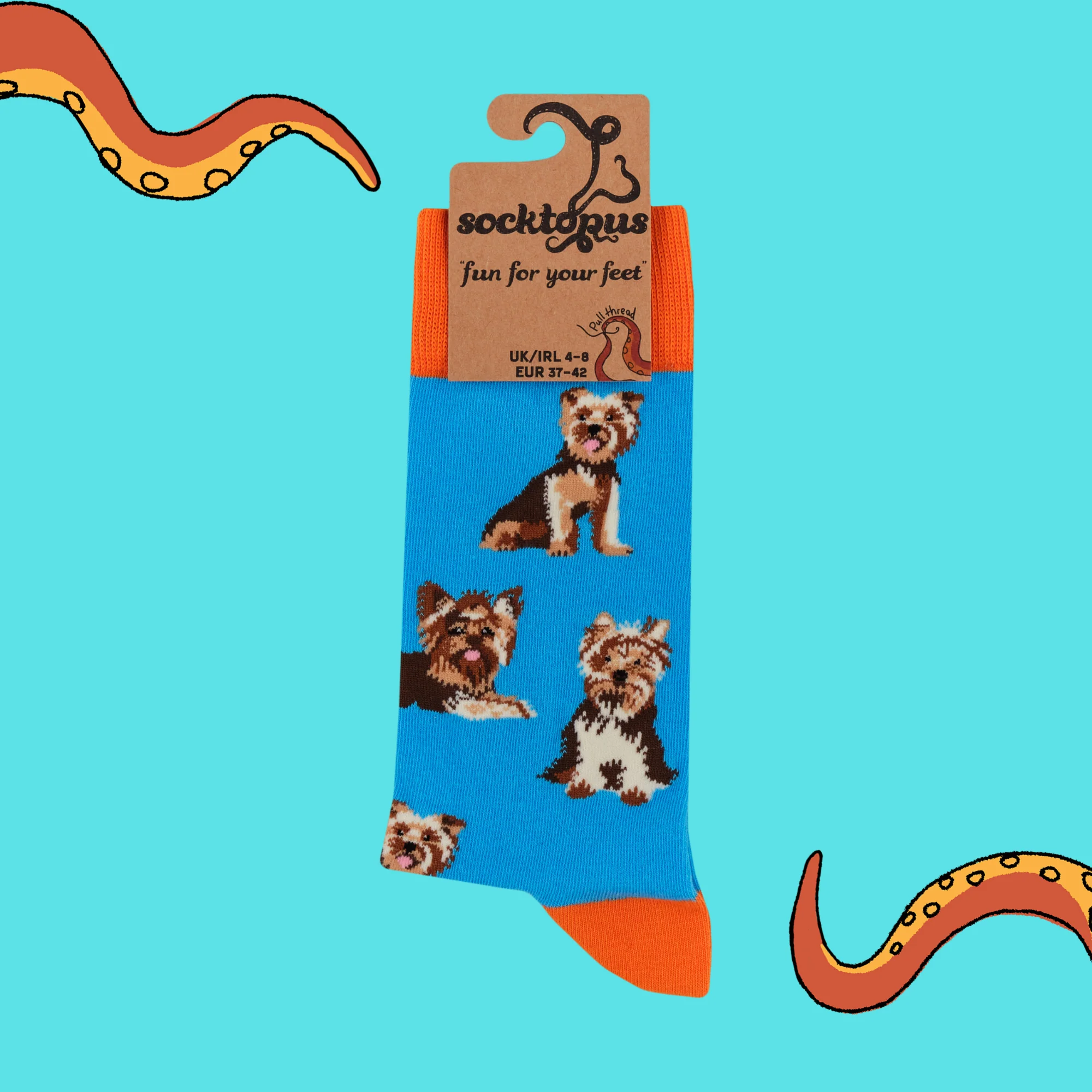 Yorkshire Terrier Socks - Yorkies - Image 4