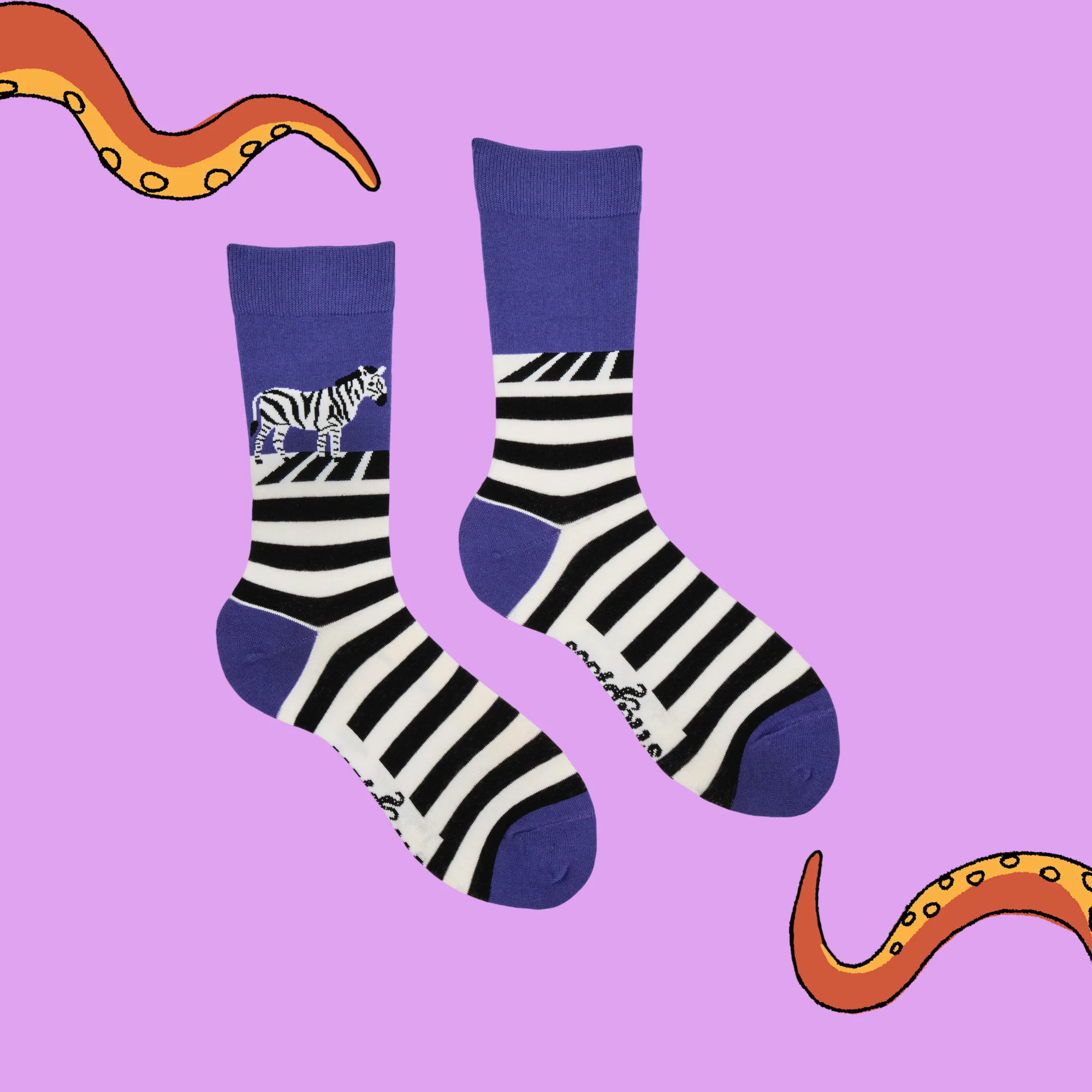 Zebra Crossing Socks - Image 3